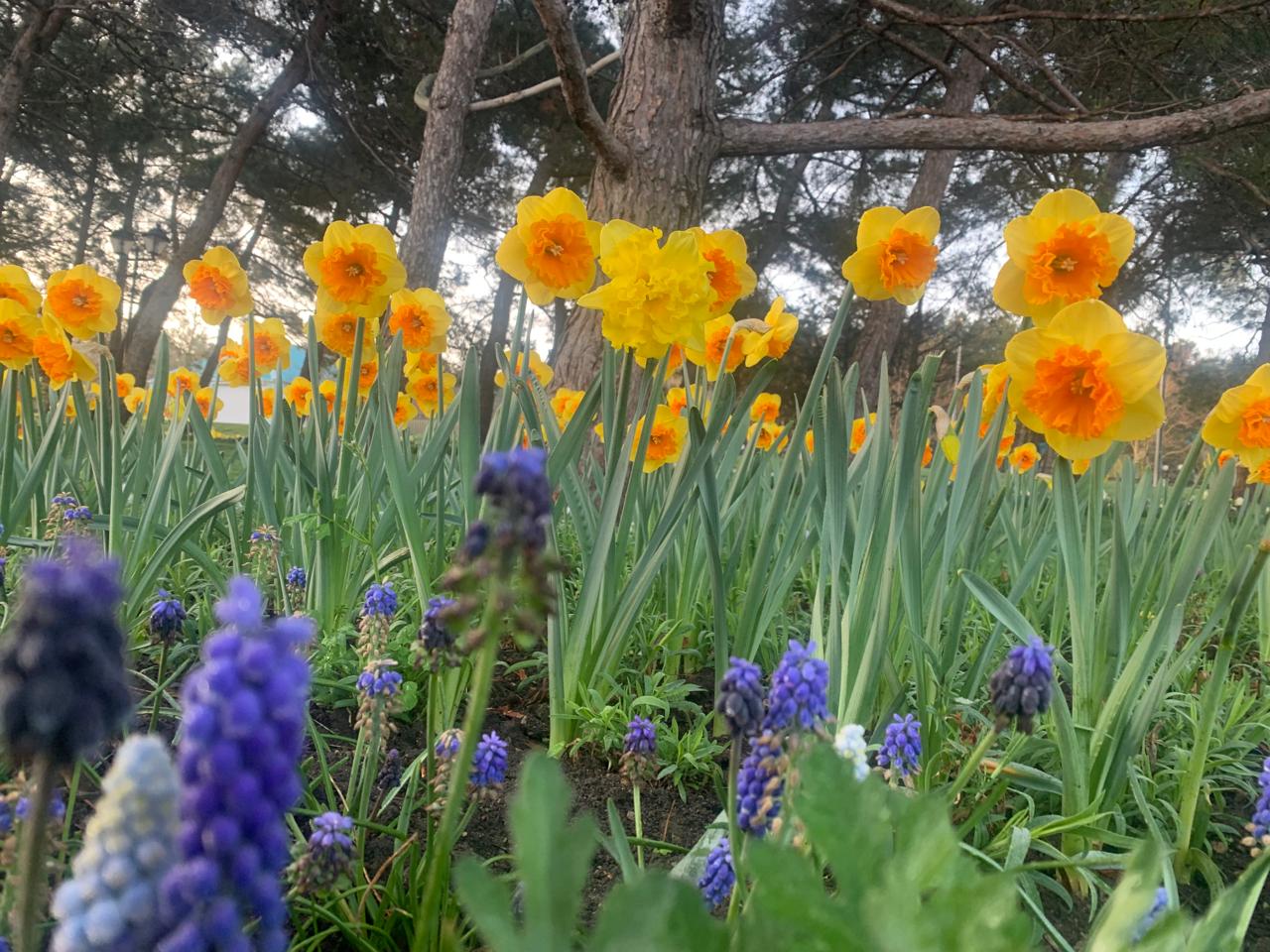 Фото Пансионат Геленджик