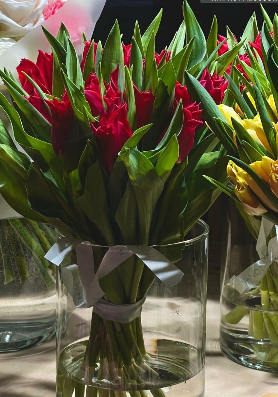 Фото Трианон