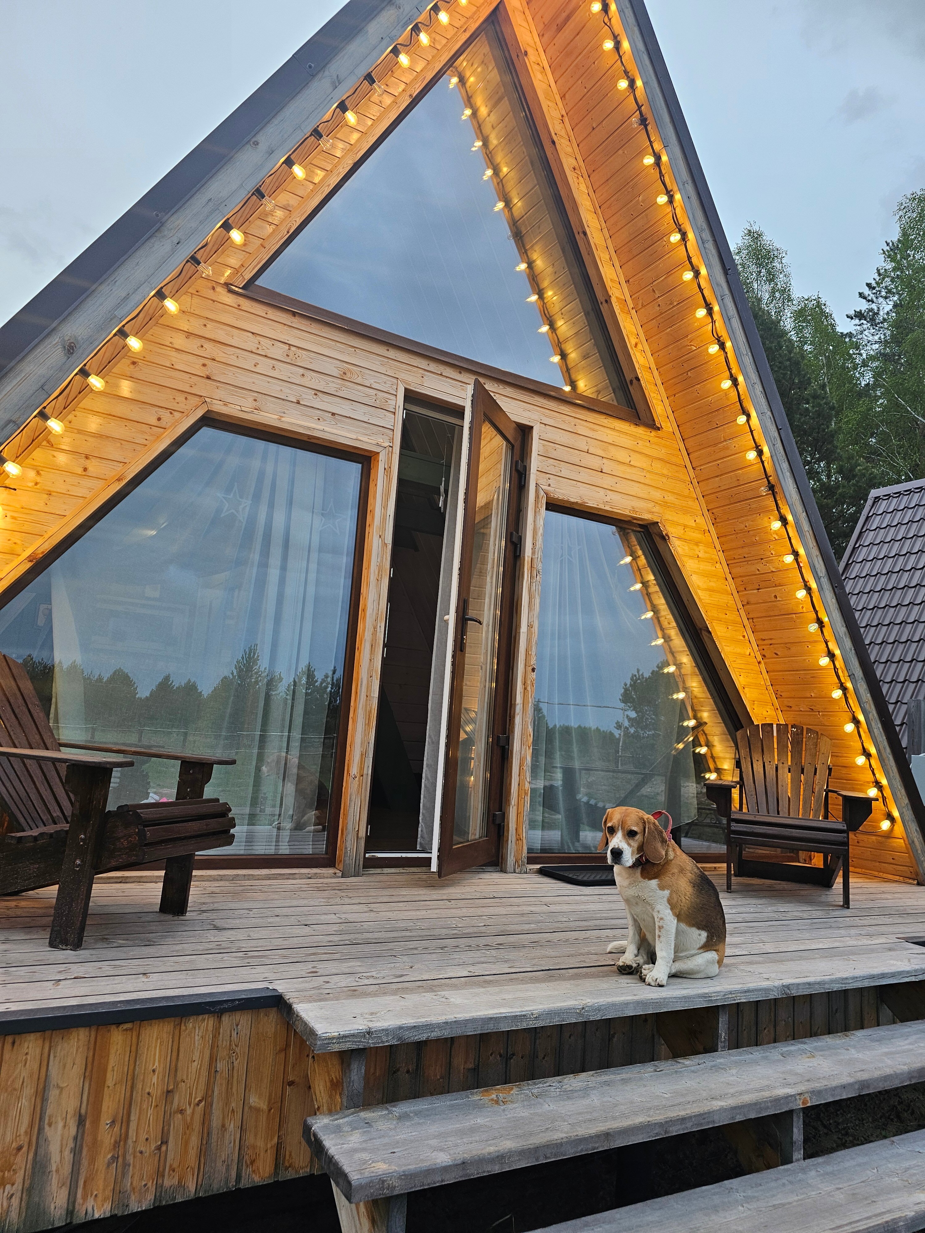 Фото Орехово Лес