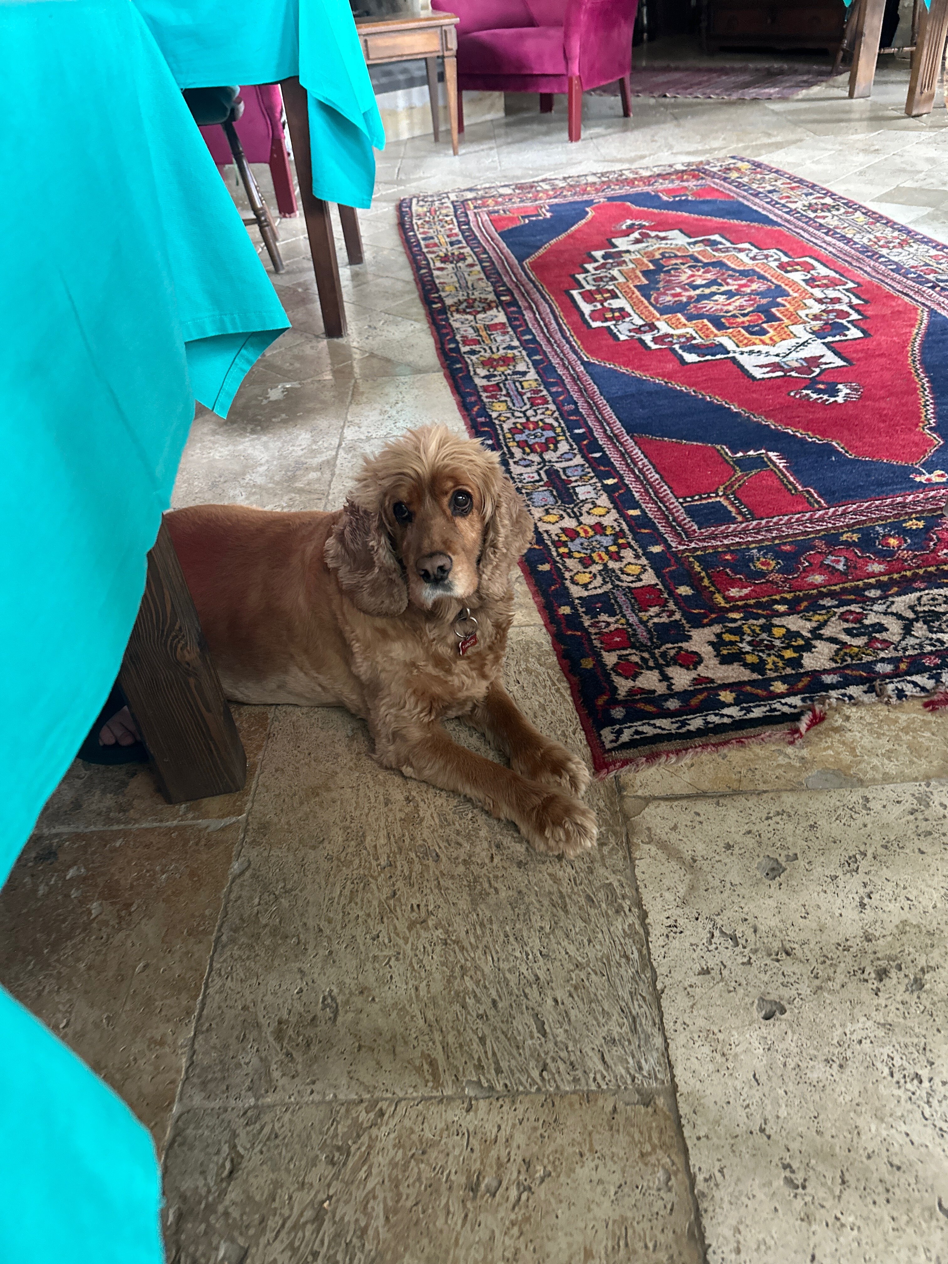 Фото Turkish Cave House