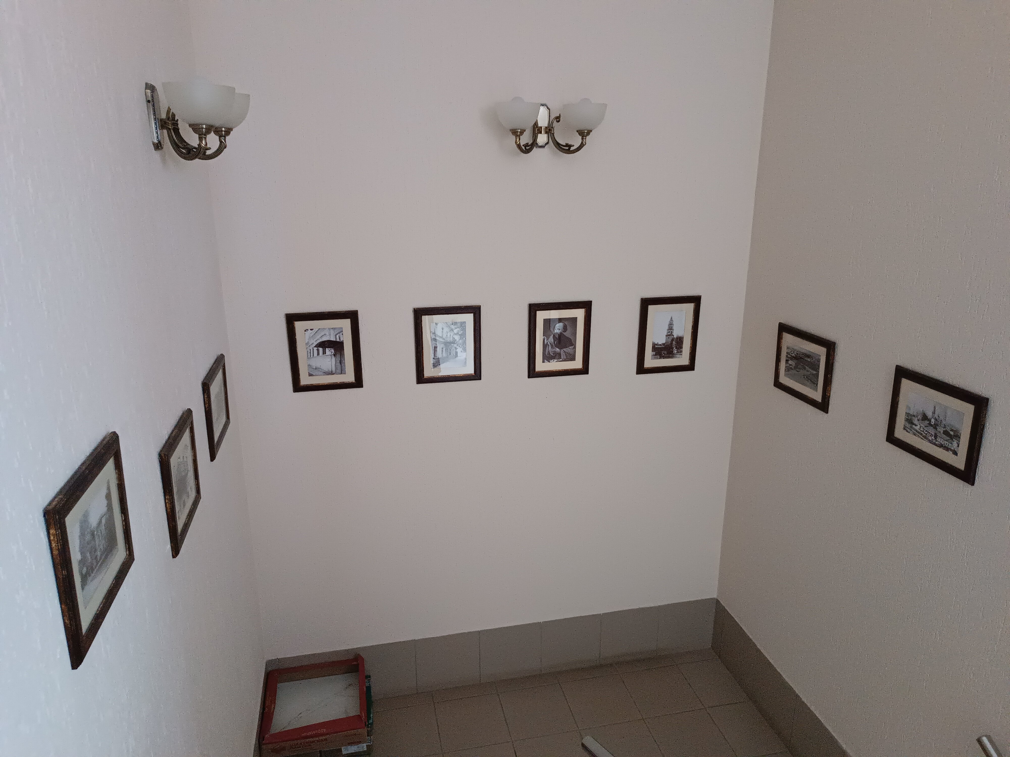 Фото Старый соболь