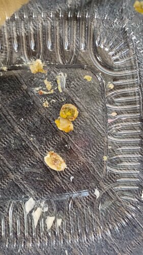 «Простоквашино» эротикалық мультфильмі