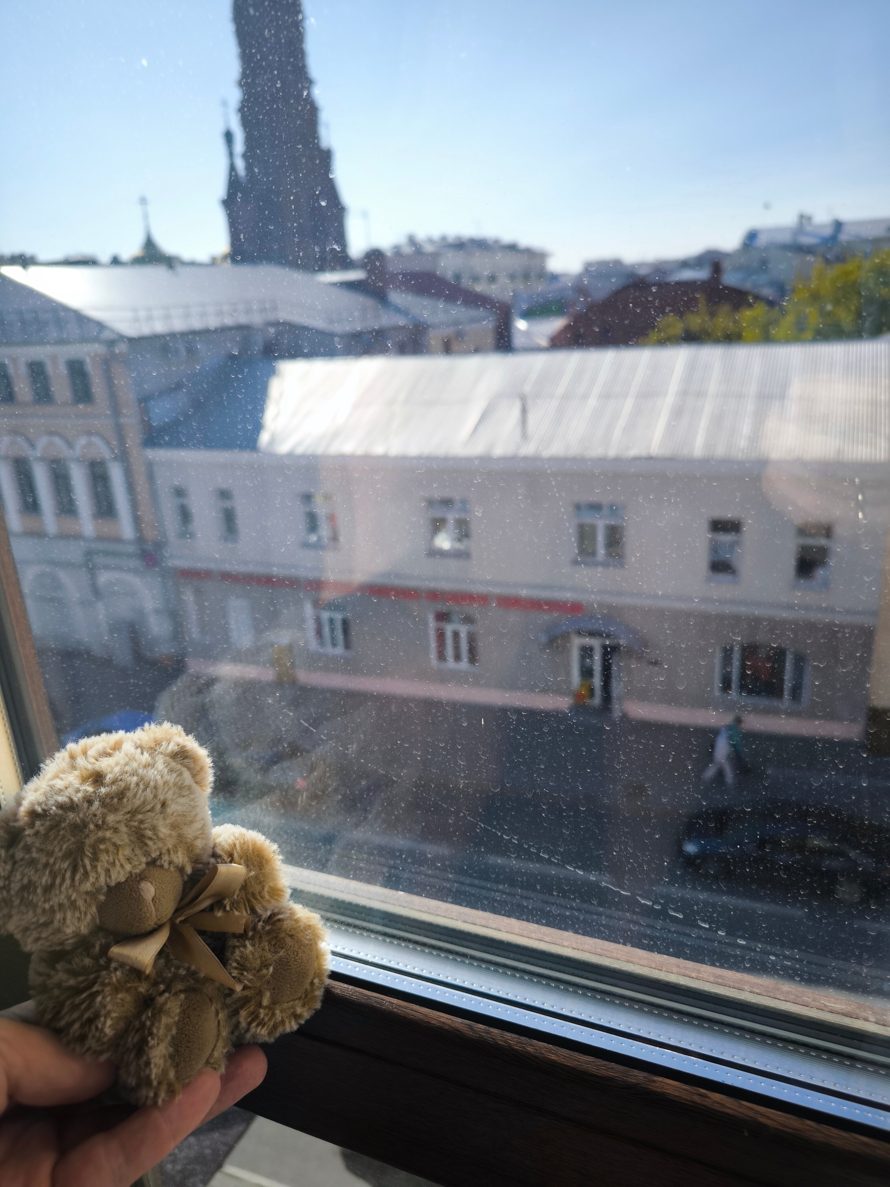 Фото Green Doors