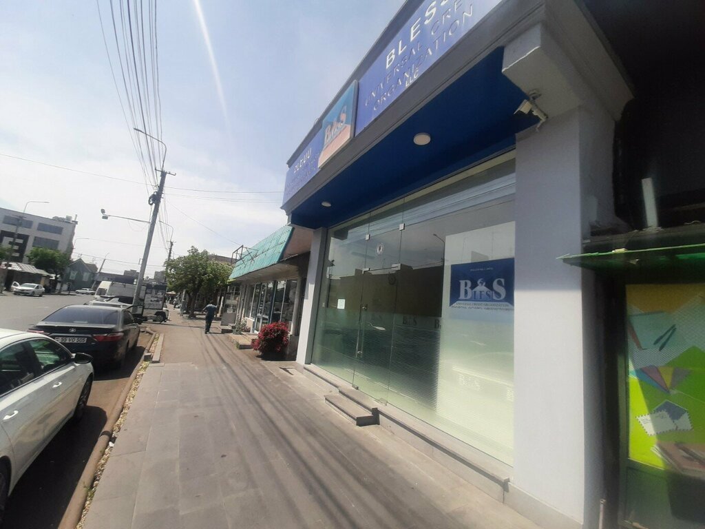 Non-bank financial institution Bless Ajapnyak, Yerevan, photo