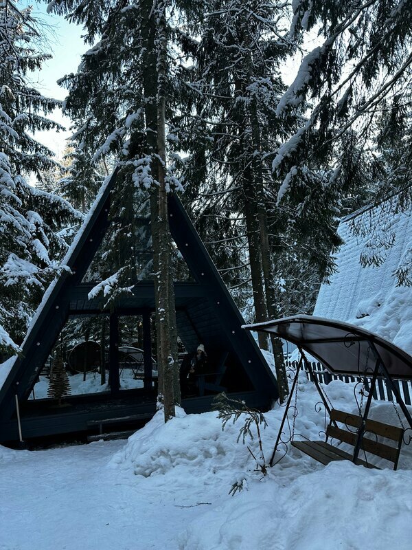 Фото Elki в Новожилово