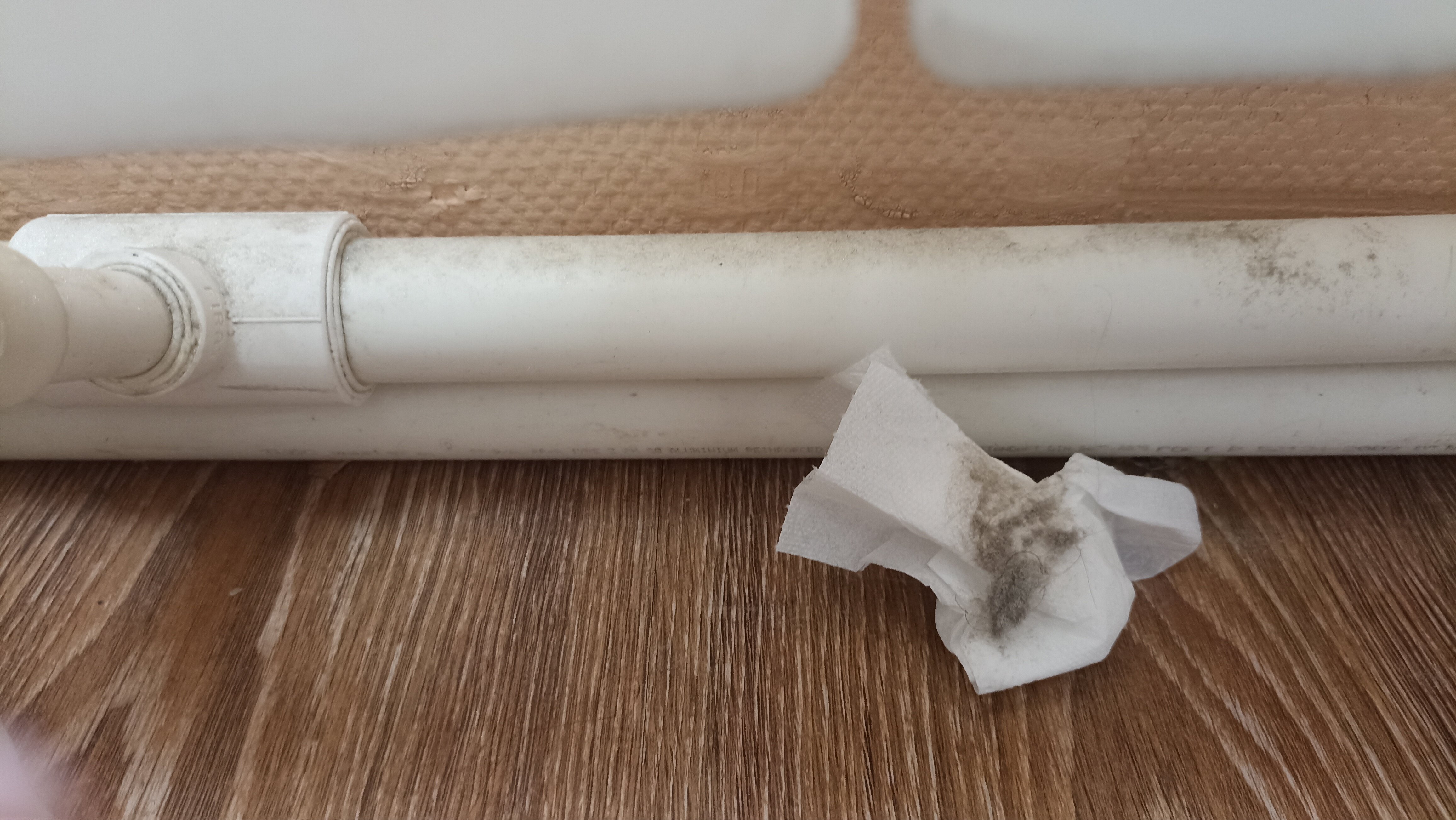 Фото Счастье