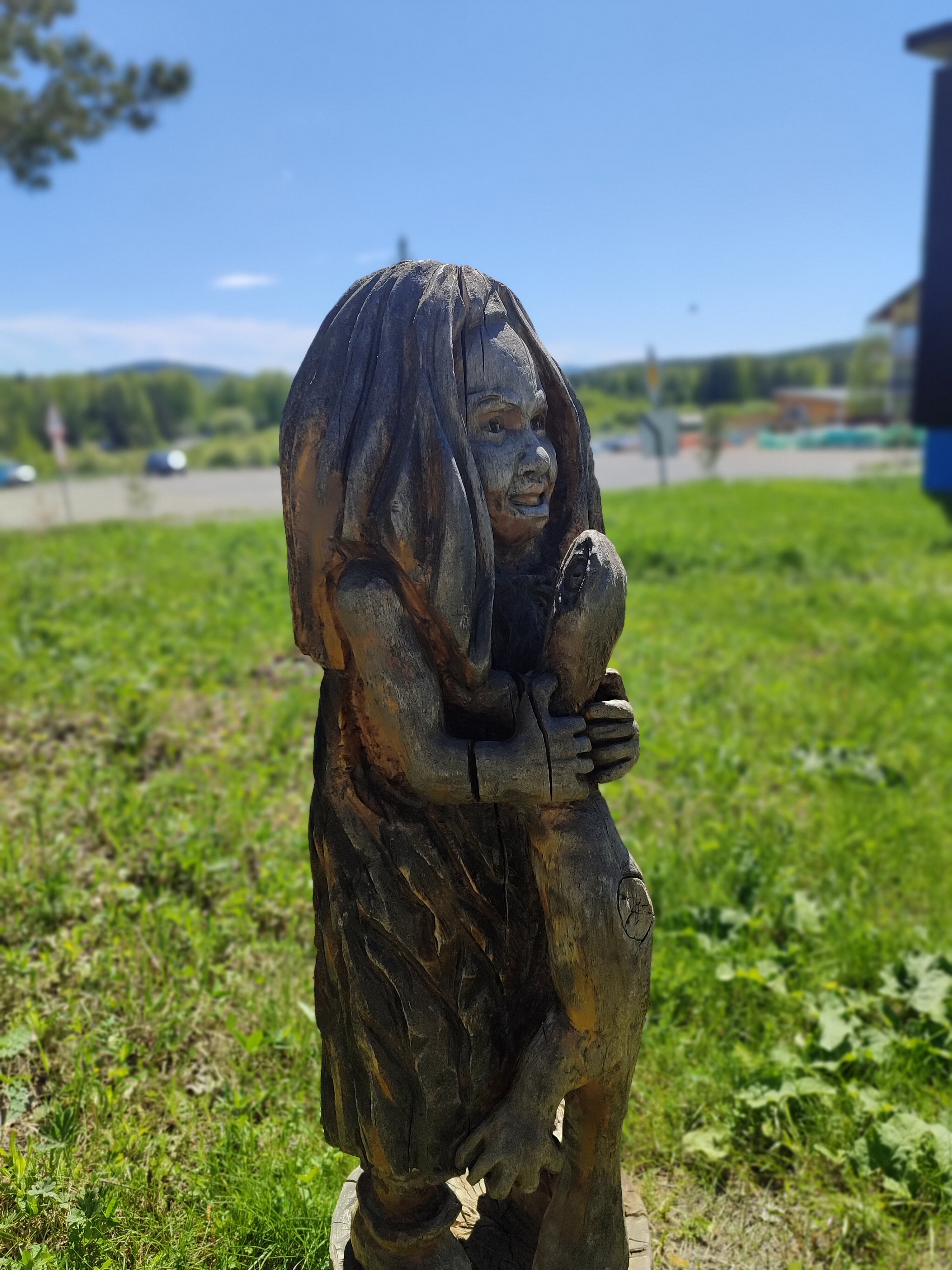 Фото Sunny Valley