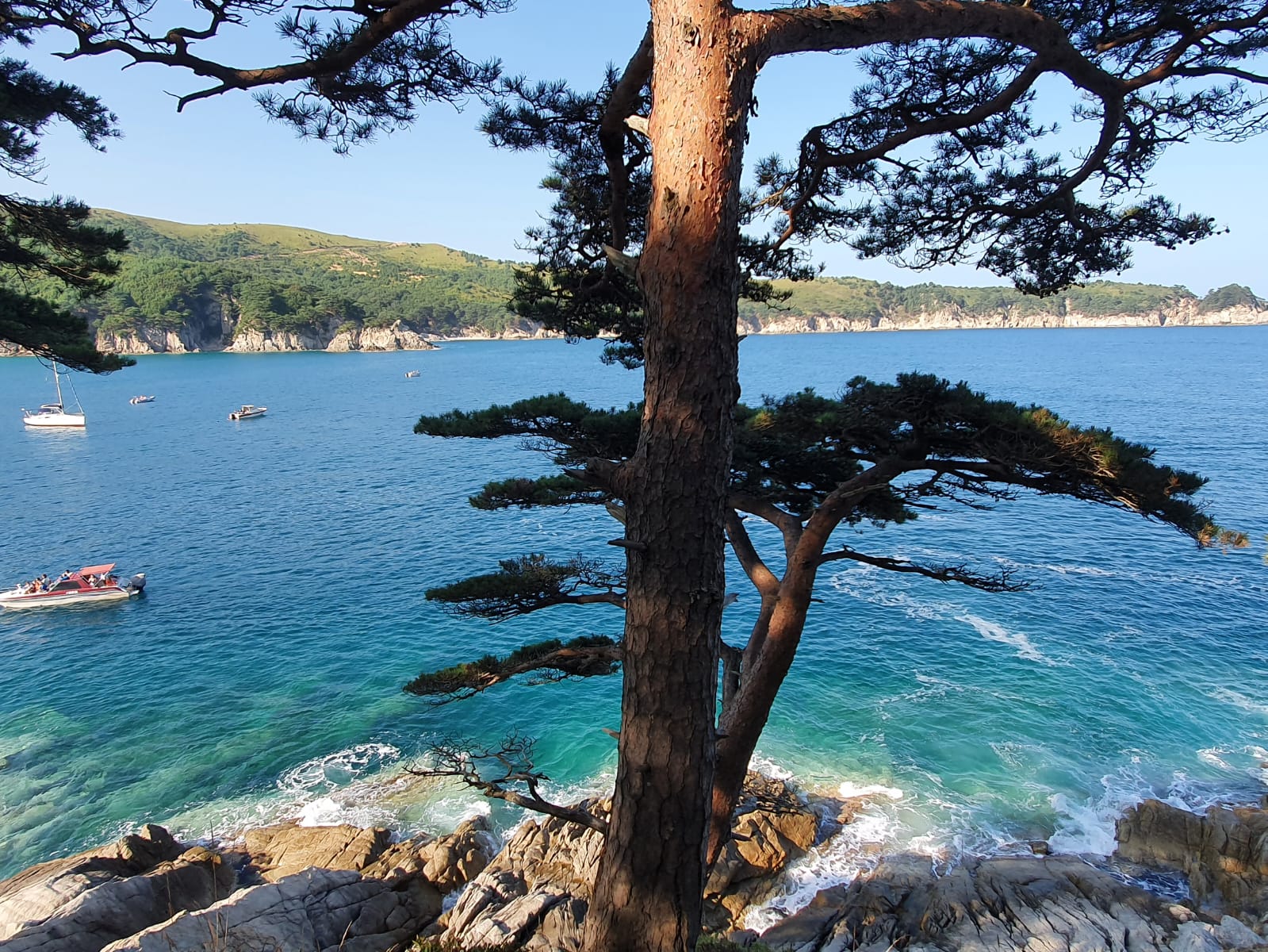 Фото Ольховая