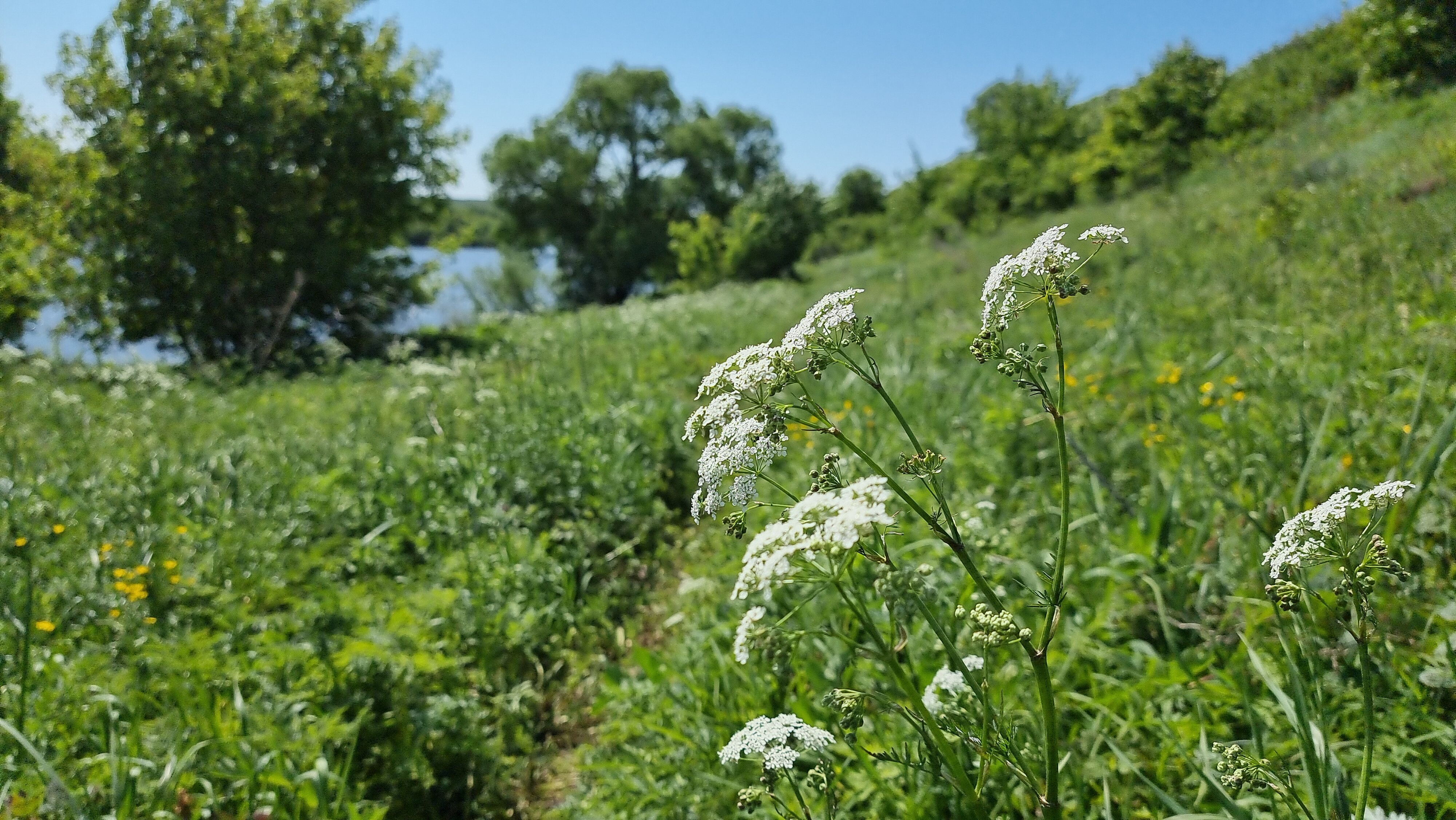 Фото Атамань-на-Дону