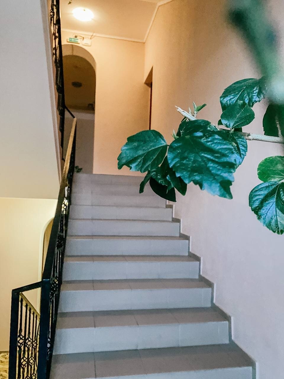 Фото Смарт апартаменты с видом на море