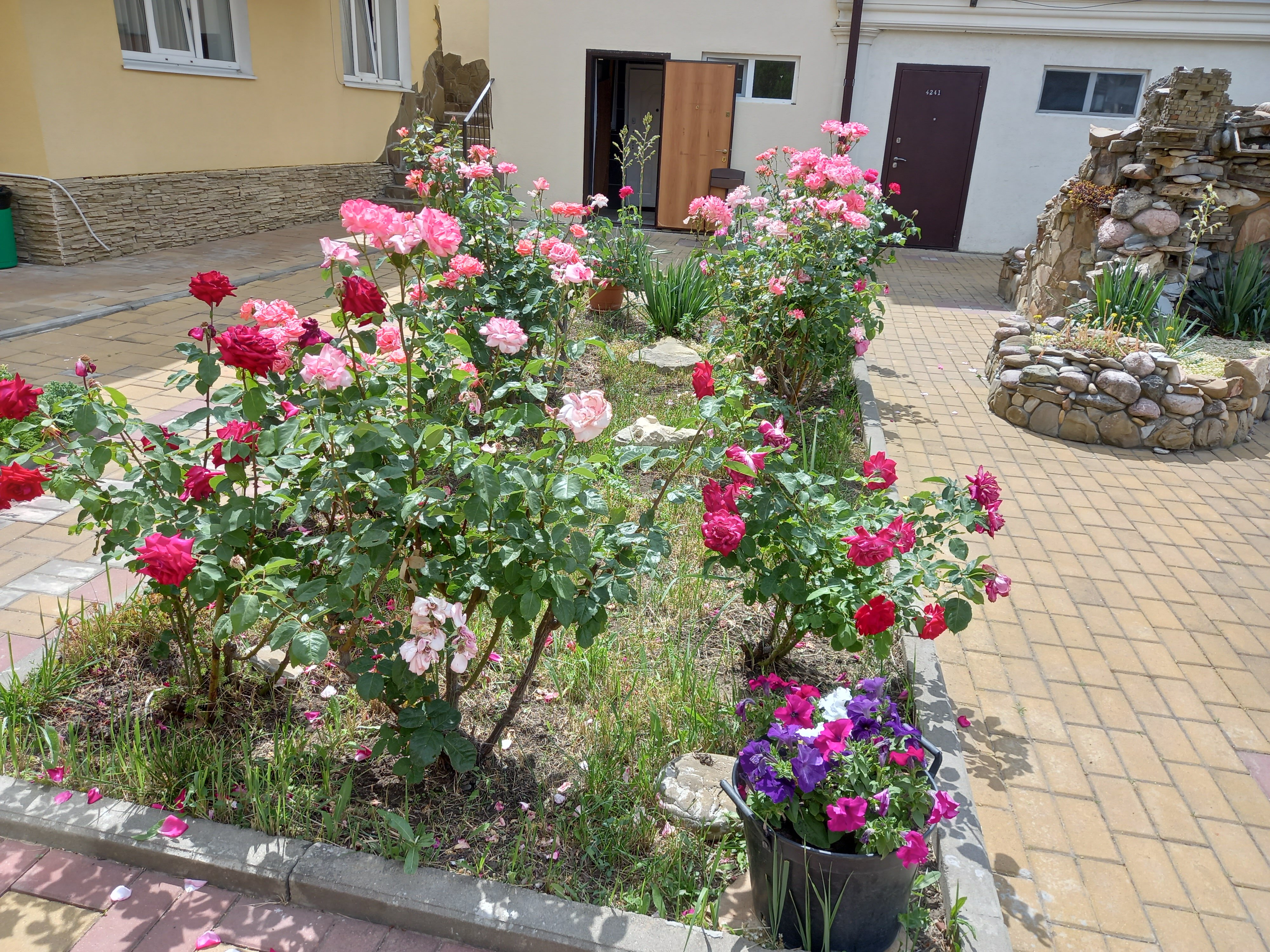 Фото Дольче Вита