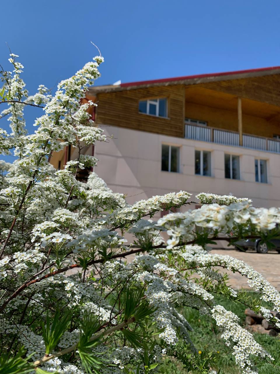 Фото Аракуль