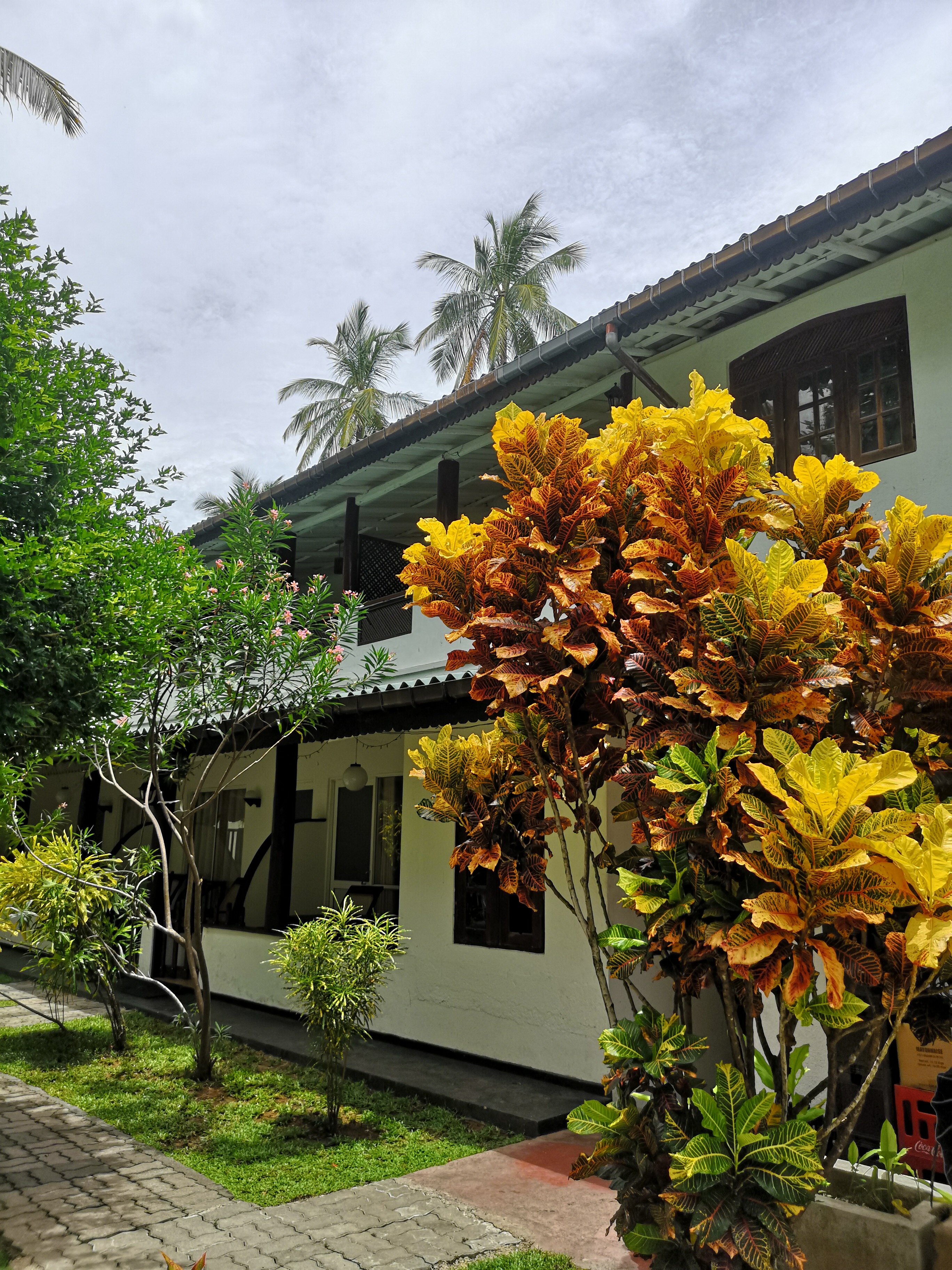 Фото Sea View Beach Unawatuna Hotel