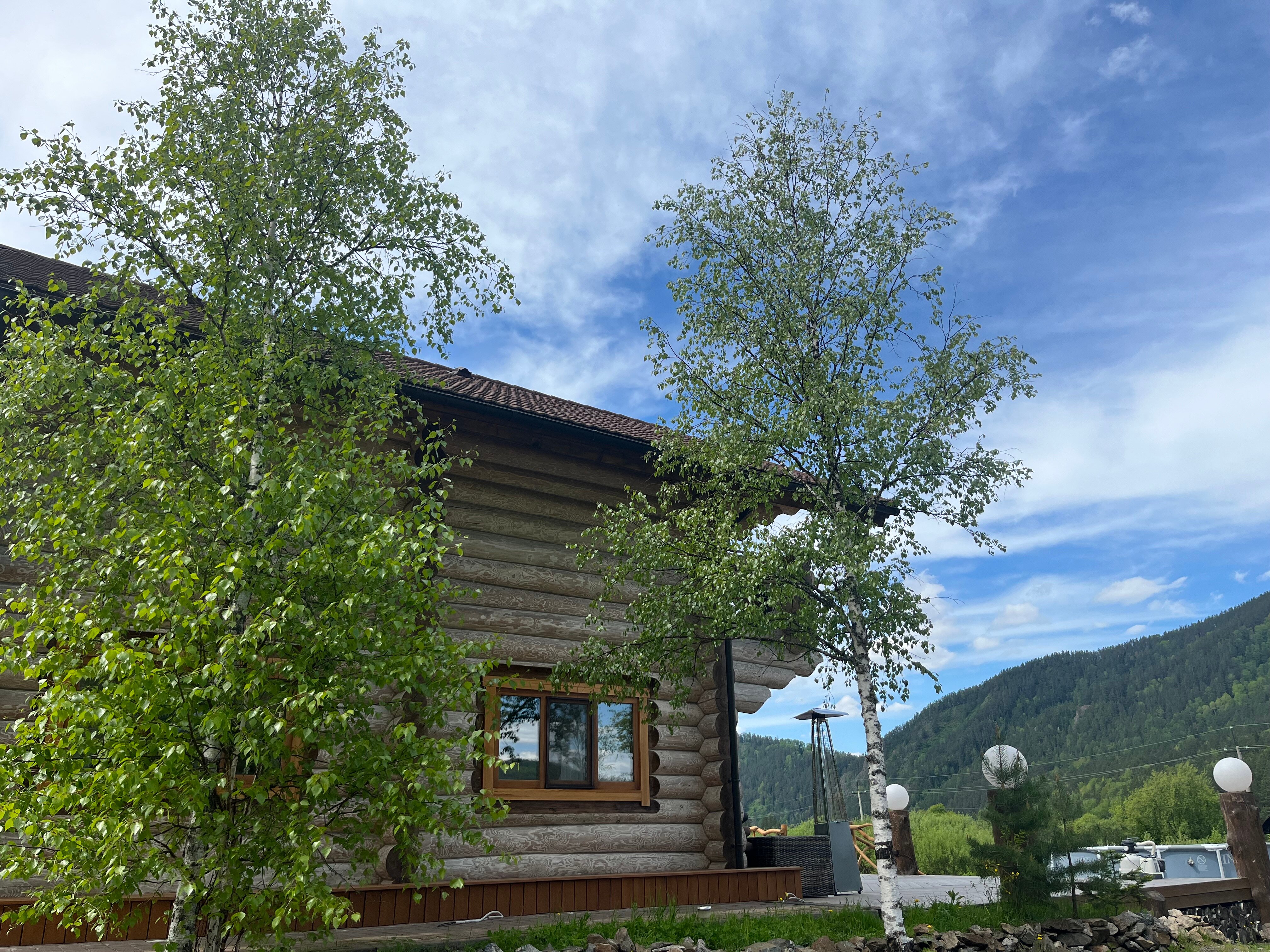 Фото Сказочка