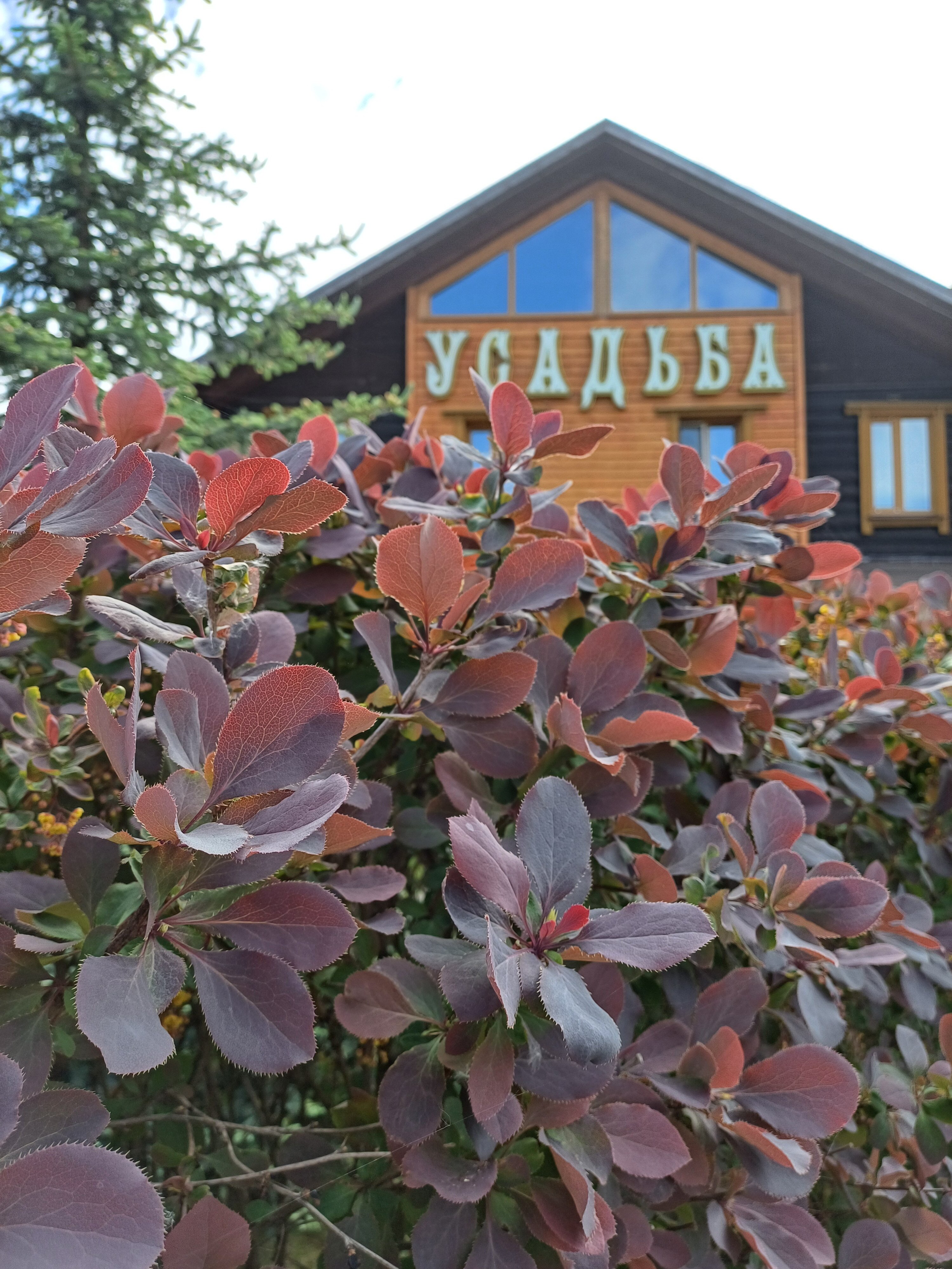 Фото Усадьба