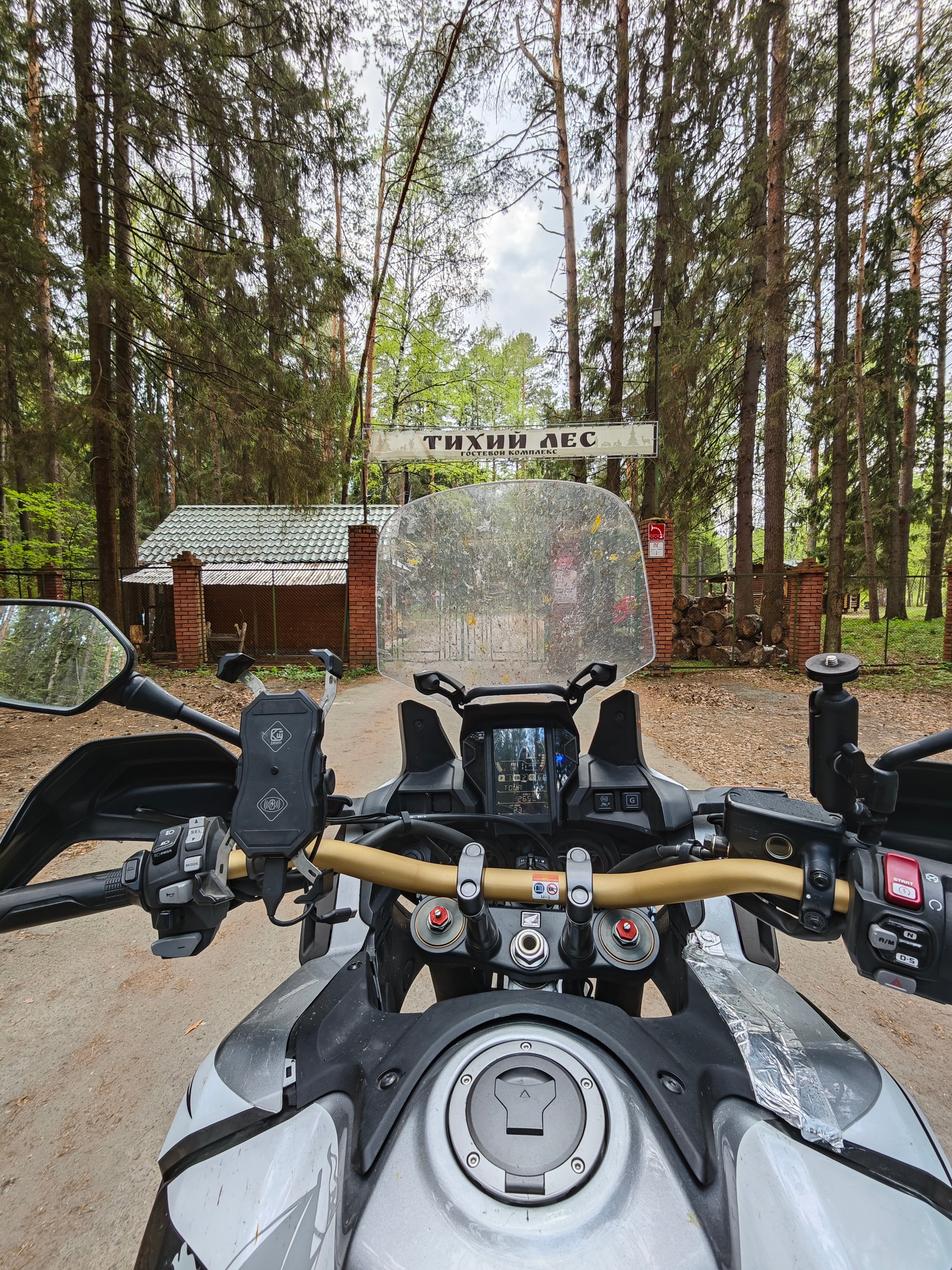 Фото Тихий Лес