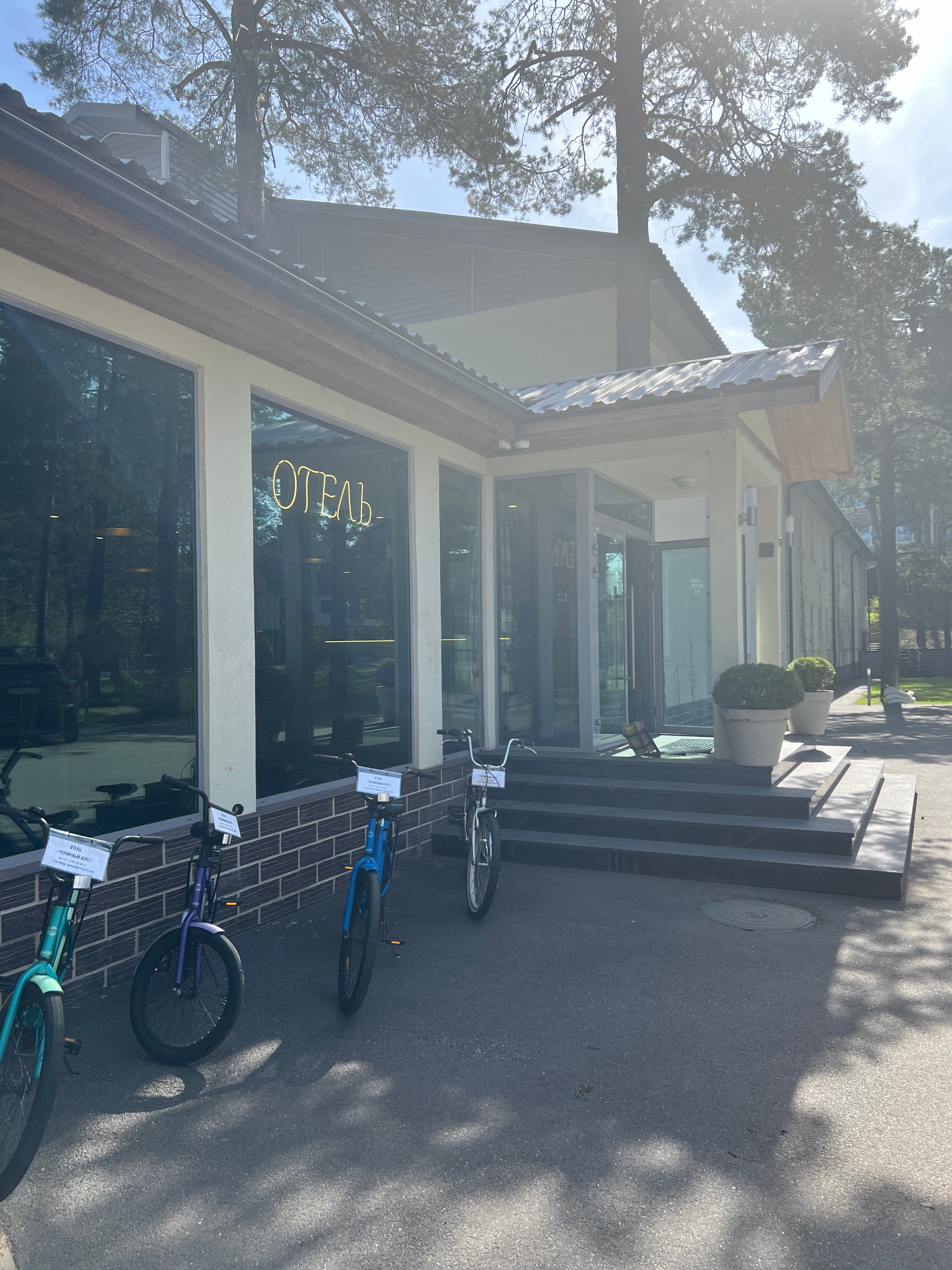 Фото Черничный Берег