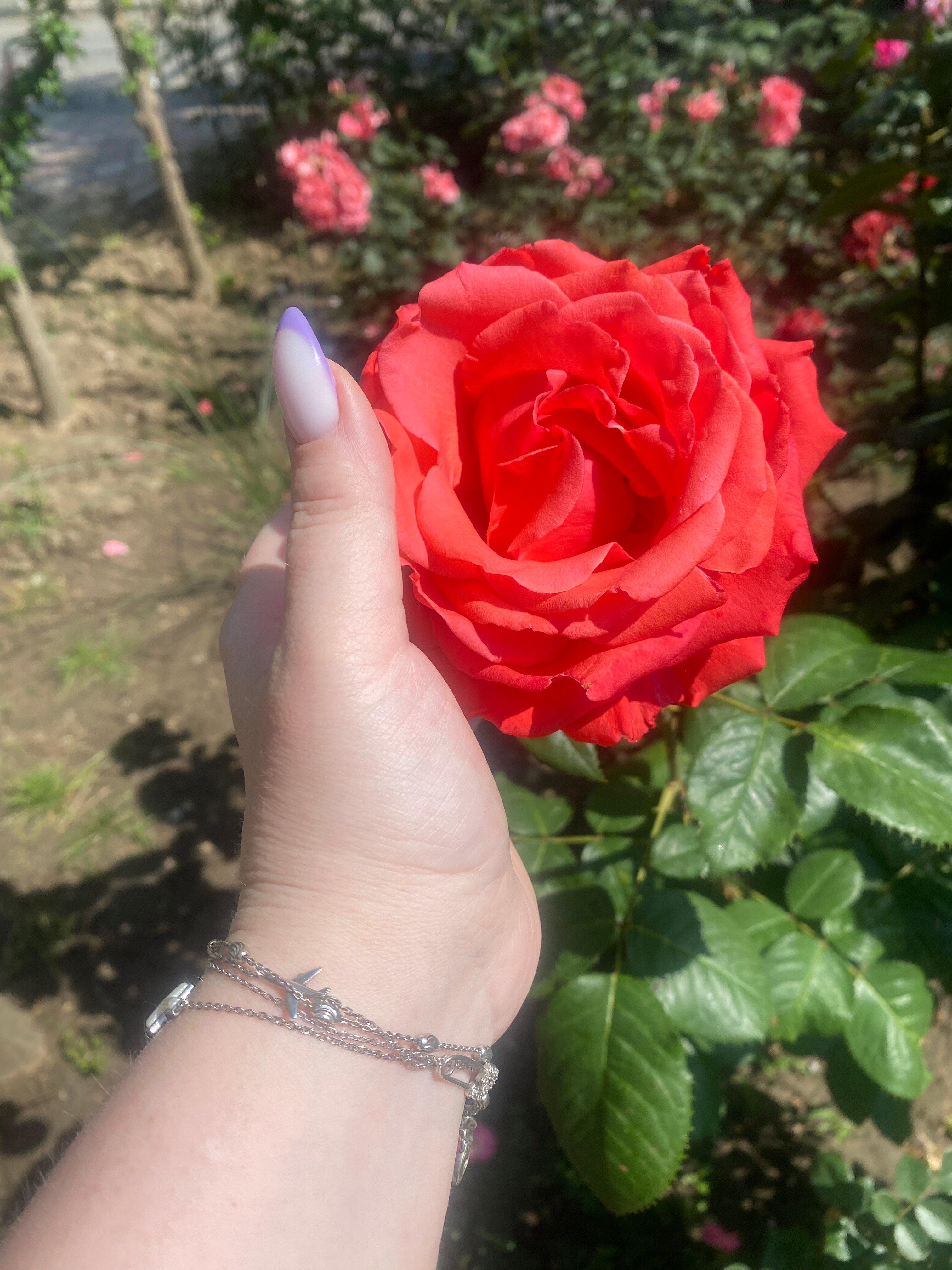 Фото Светлана