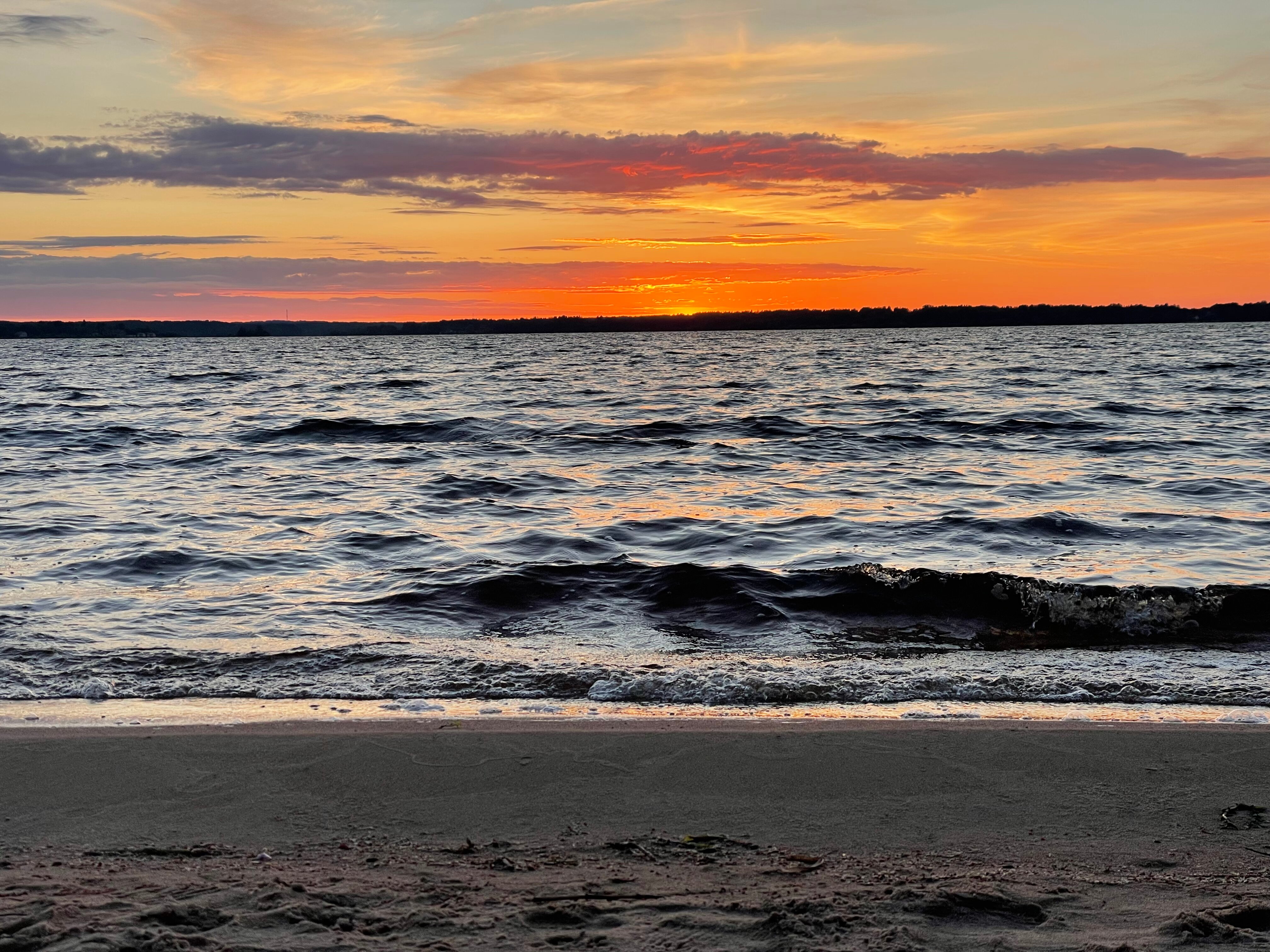 Фото Орлинка