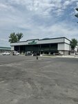 Grocery Market (Andijan Region, Khanabad), farmers' market