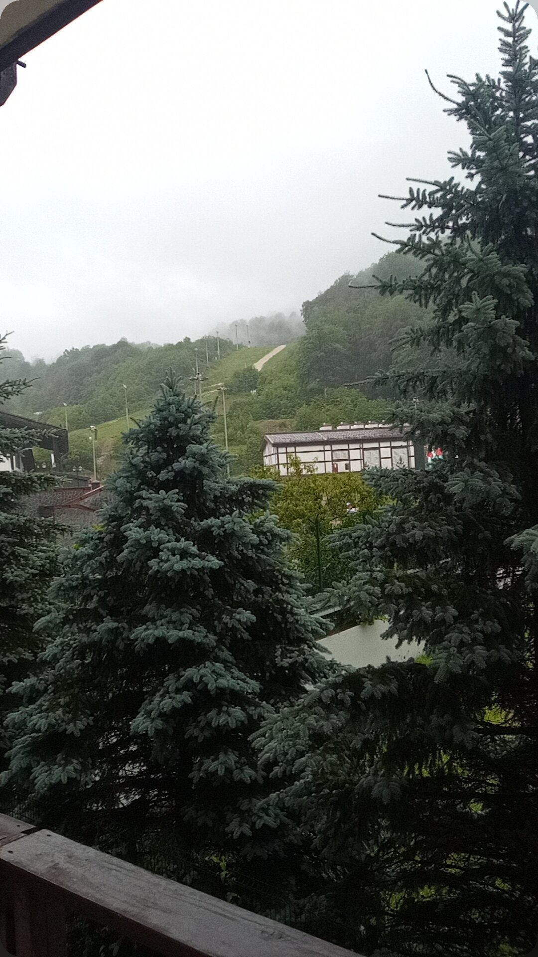 Фото Гала Плаза