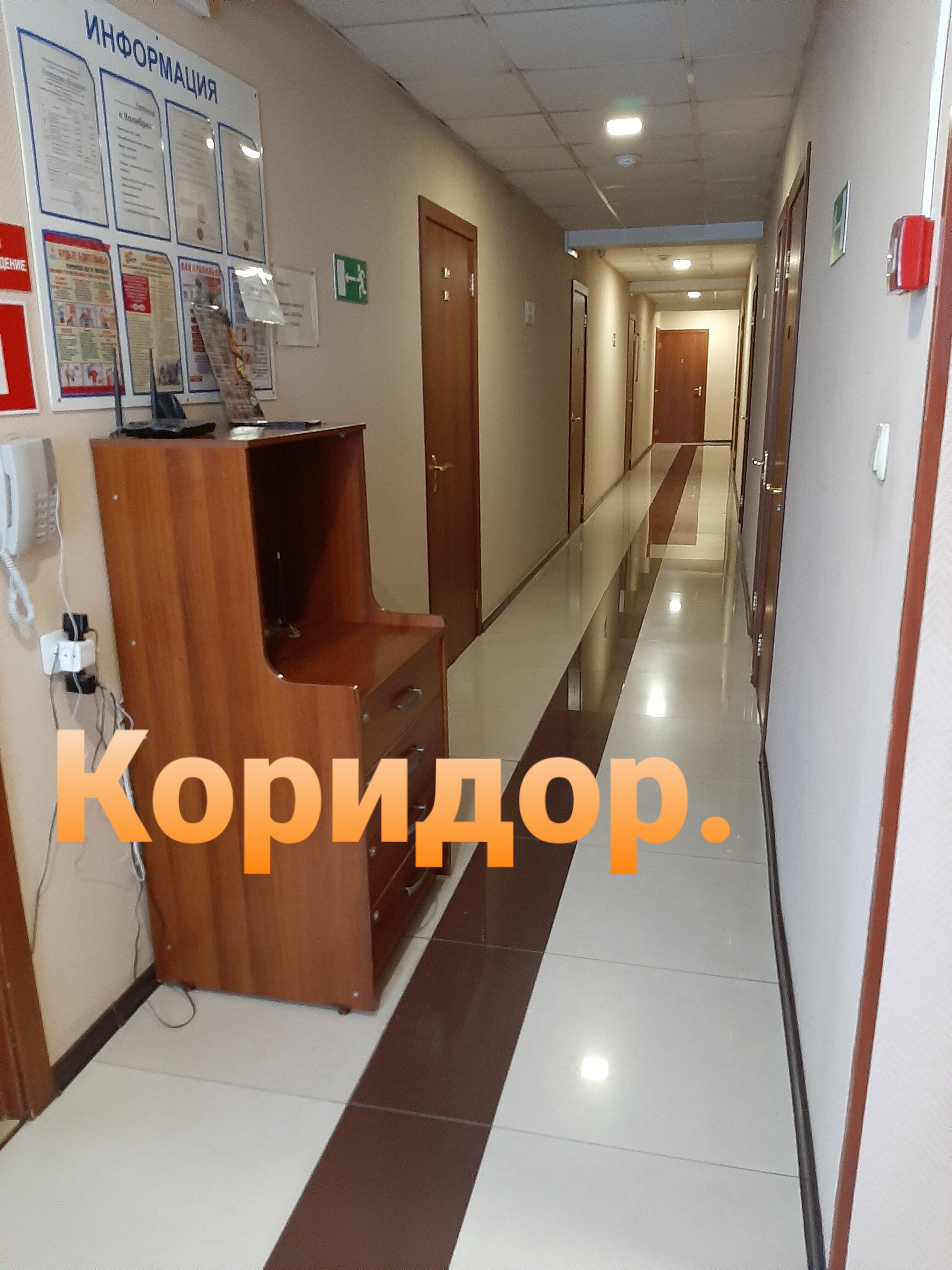 Фото Колибри