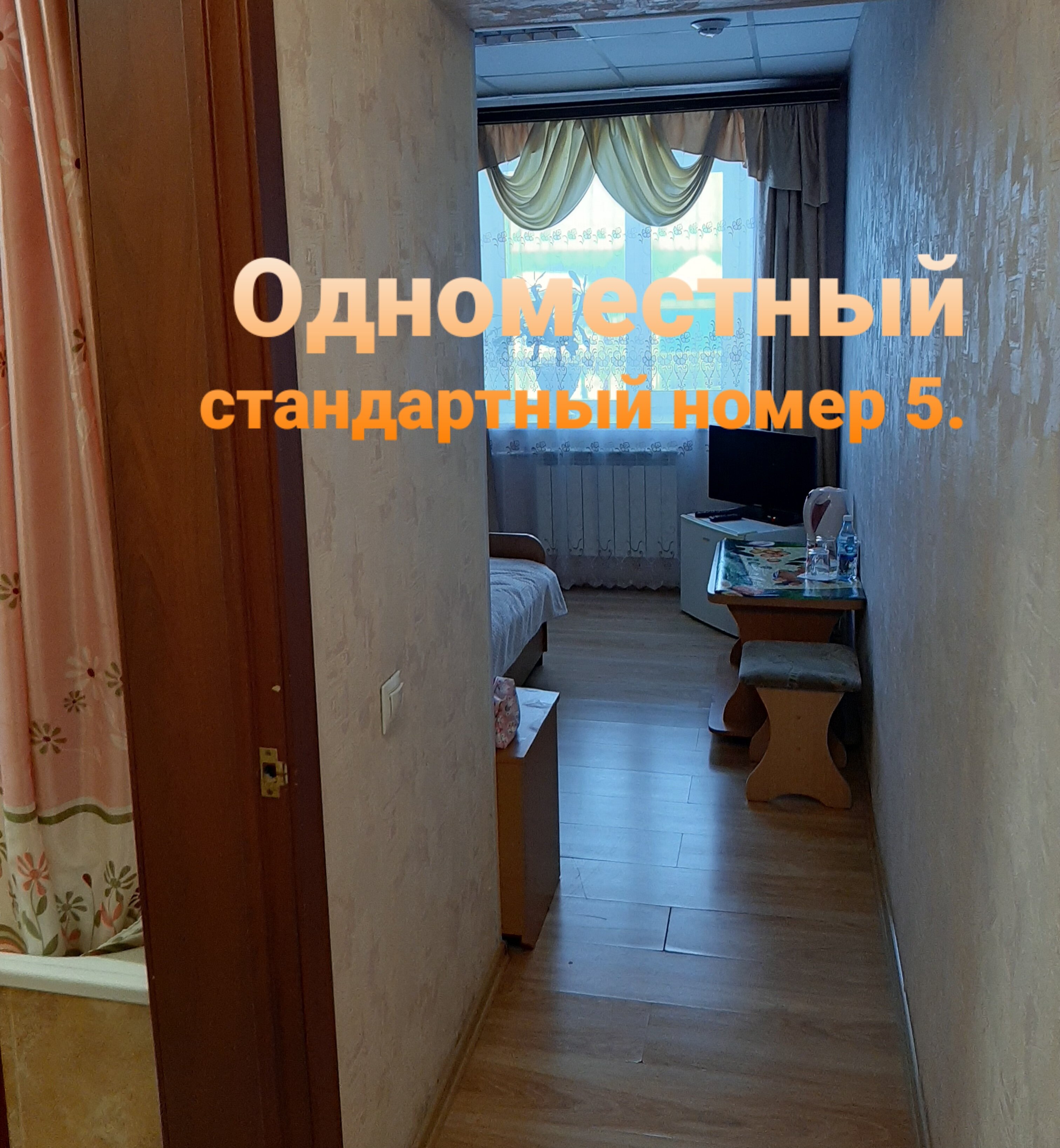 Фото Колибри