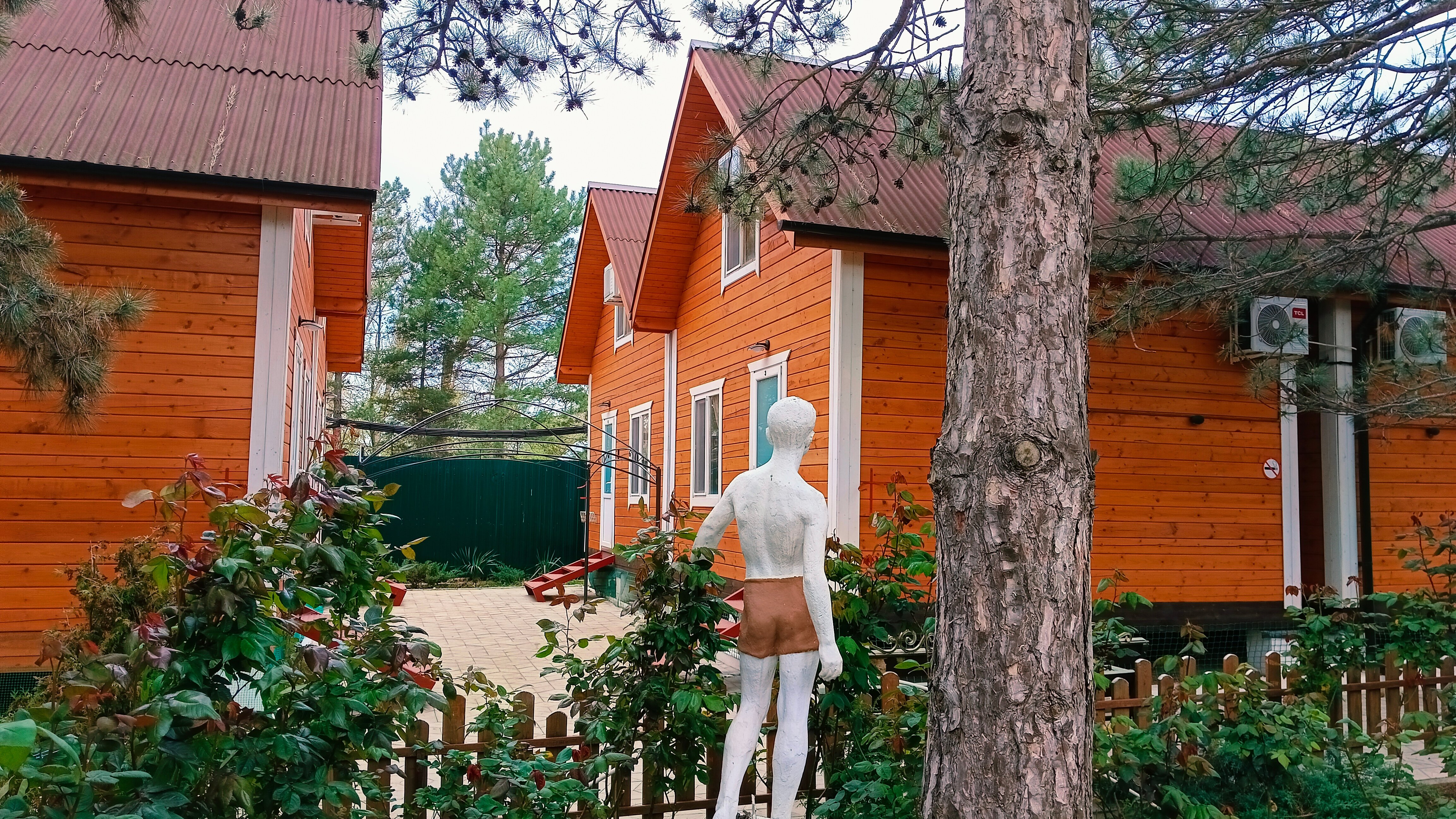 Фото Арабеска