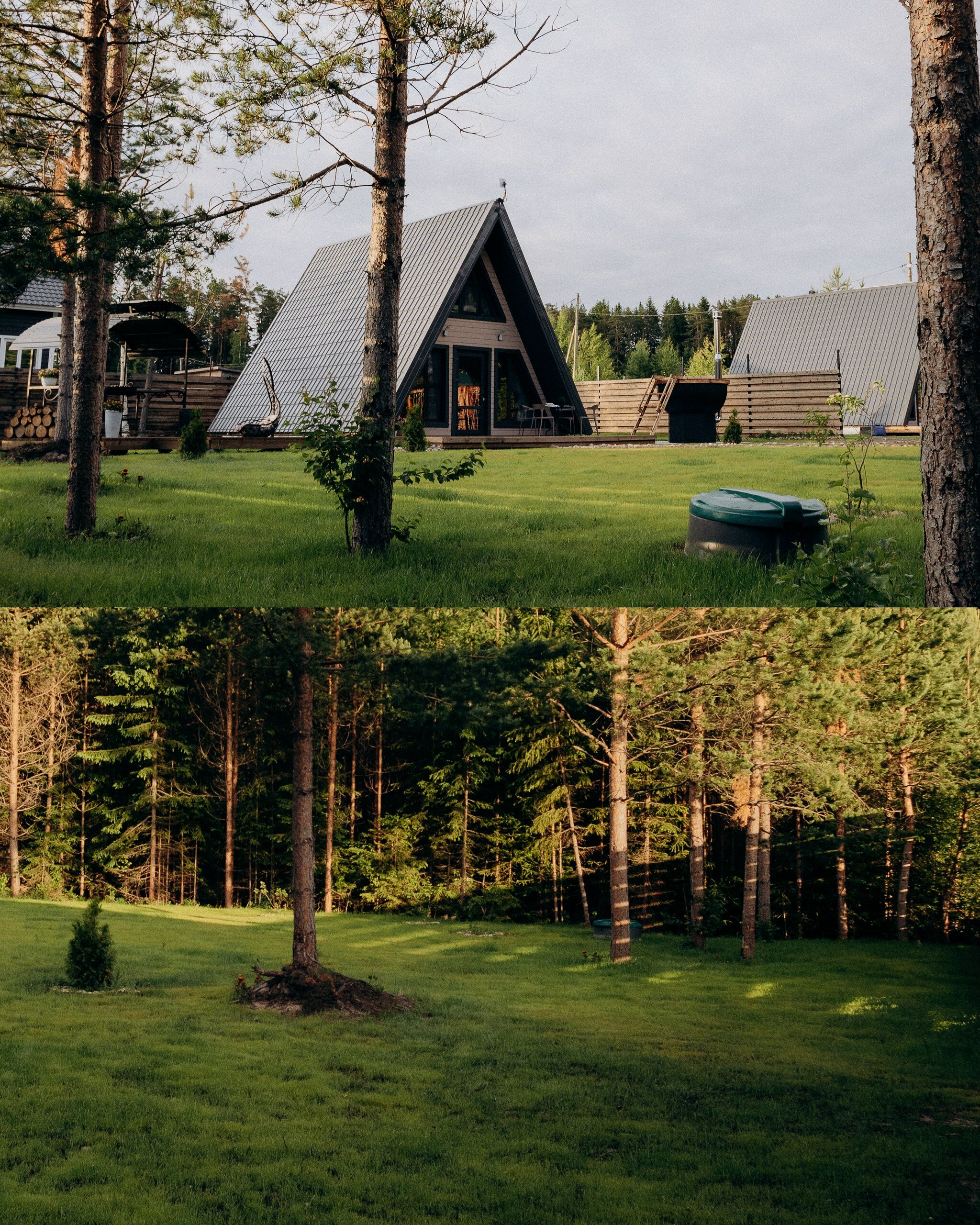 Фото Infinity Forest