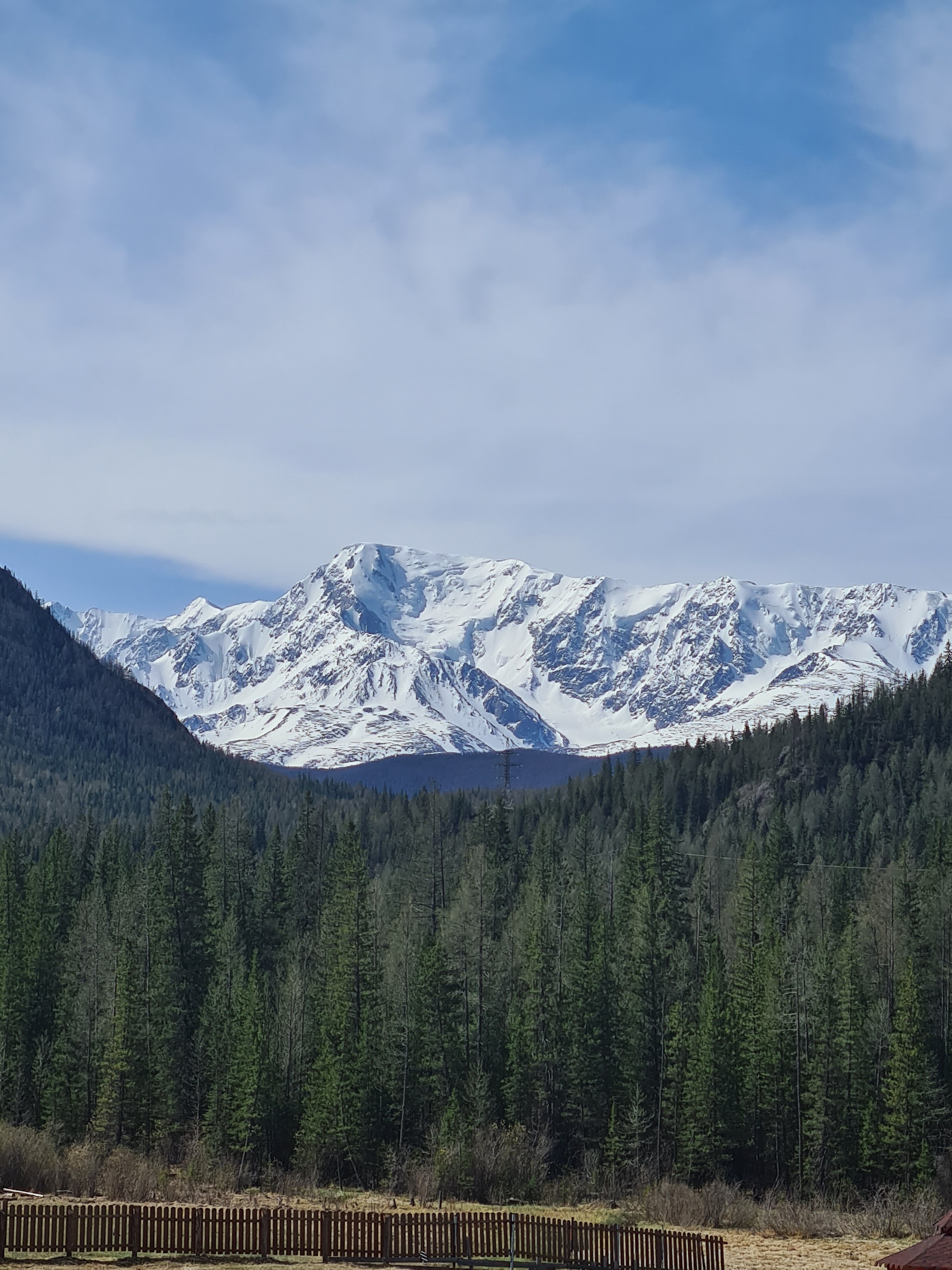 Фото Белый Шум