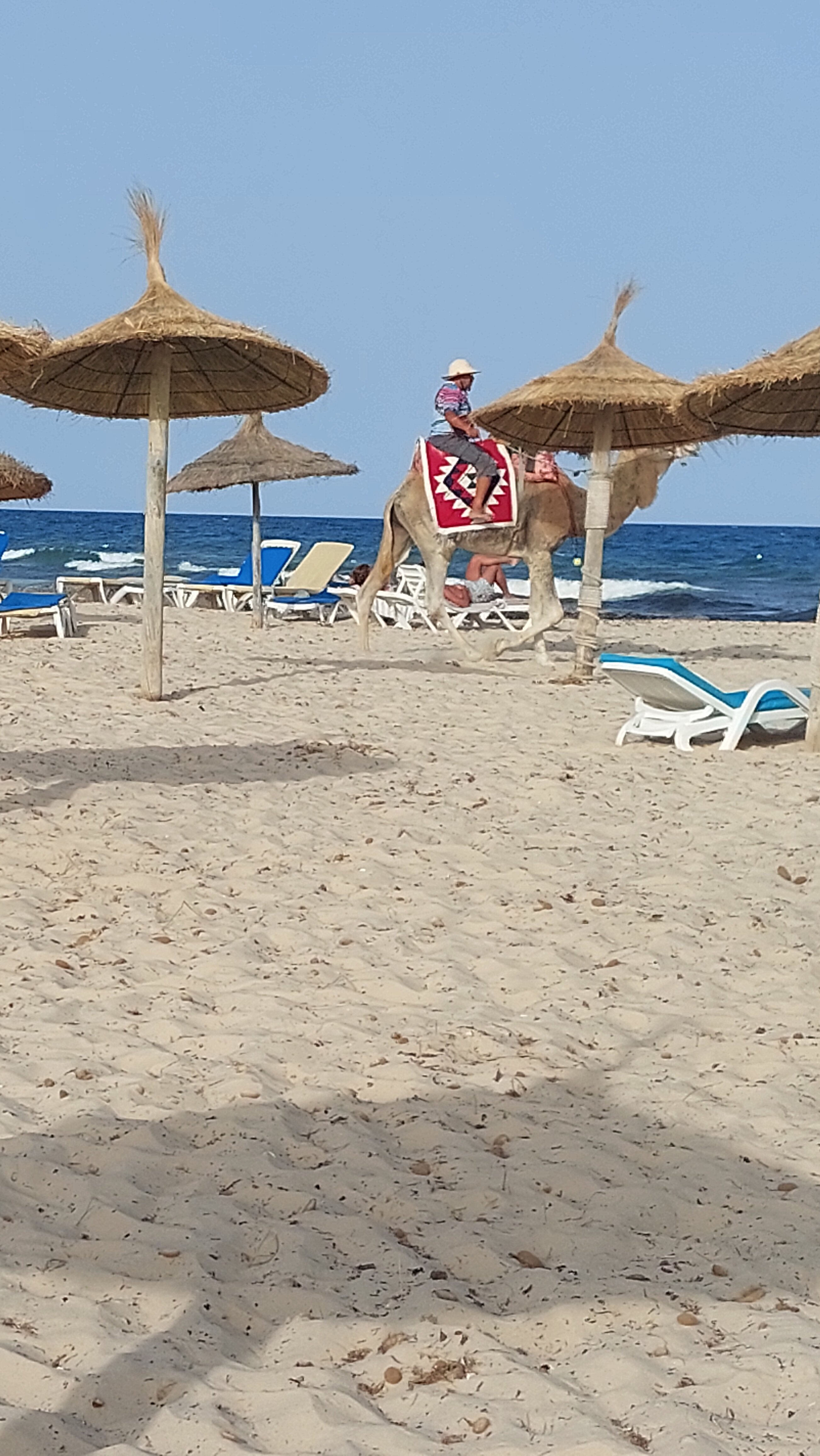 Фото The Russelior Hotel & SPA