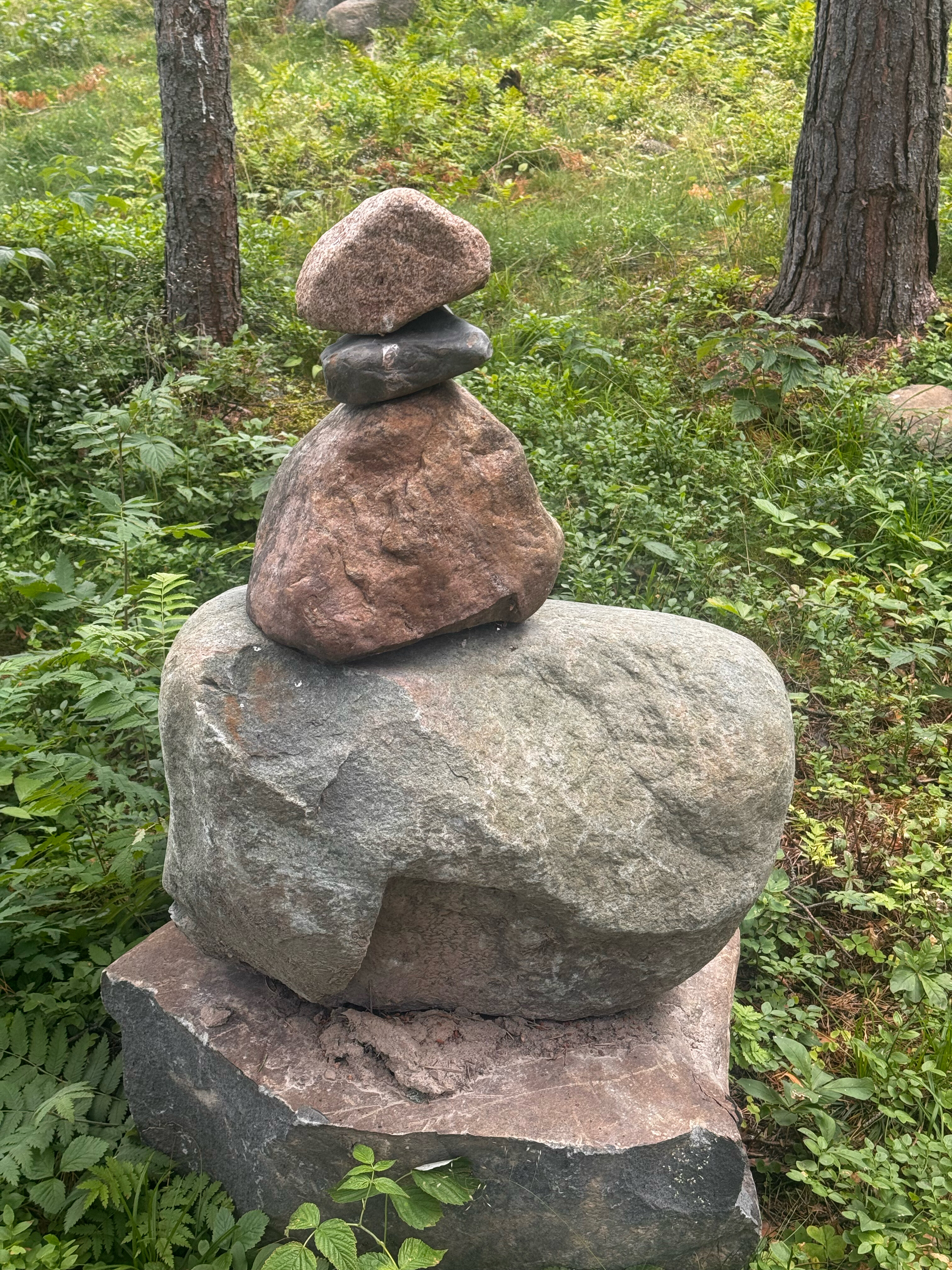 Фото Талео Хоум