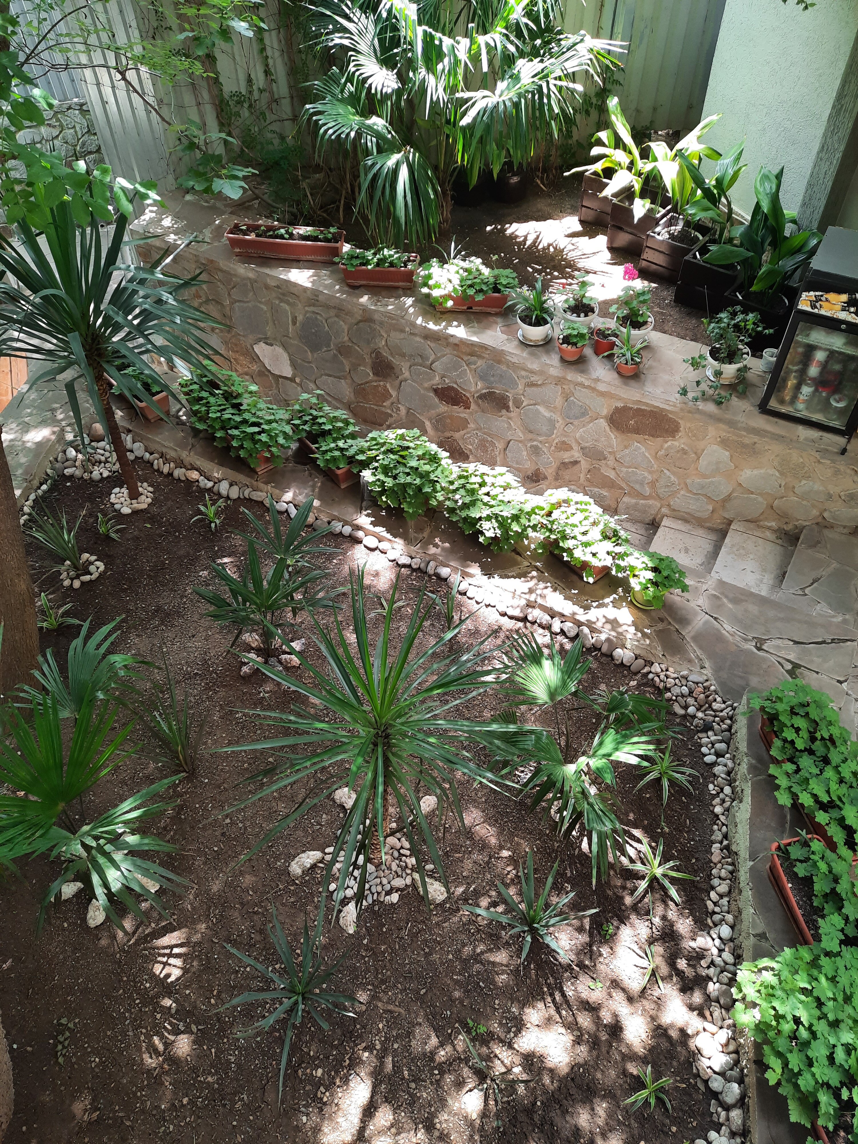 Фото Villa al Mare