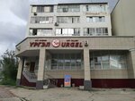 Urgel (Lermontova Street, 35/1), exhibition center