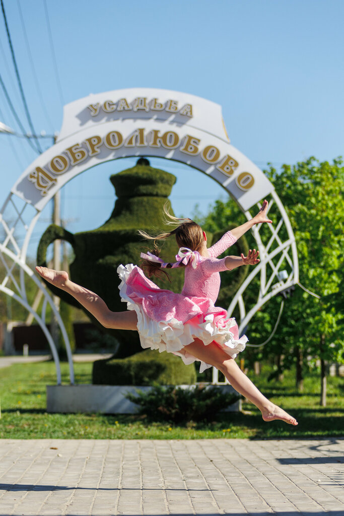 Mehmon uyi Dobrolyubovo, , foto