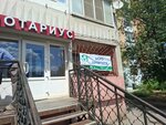 Атлас (ulitsa Aleksandrova, 15) ، وكالة ترجمة