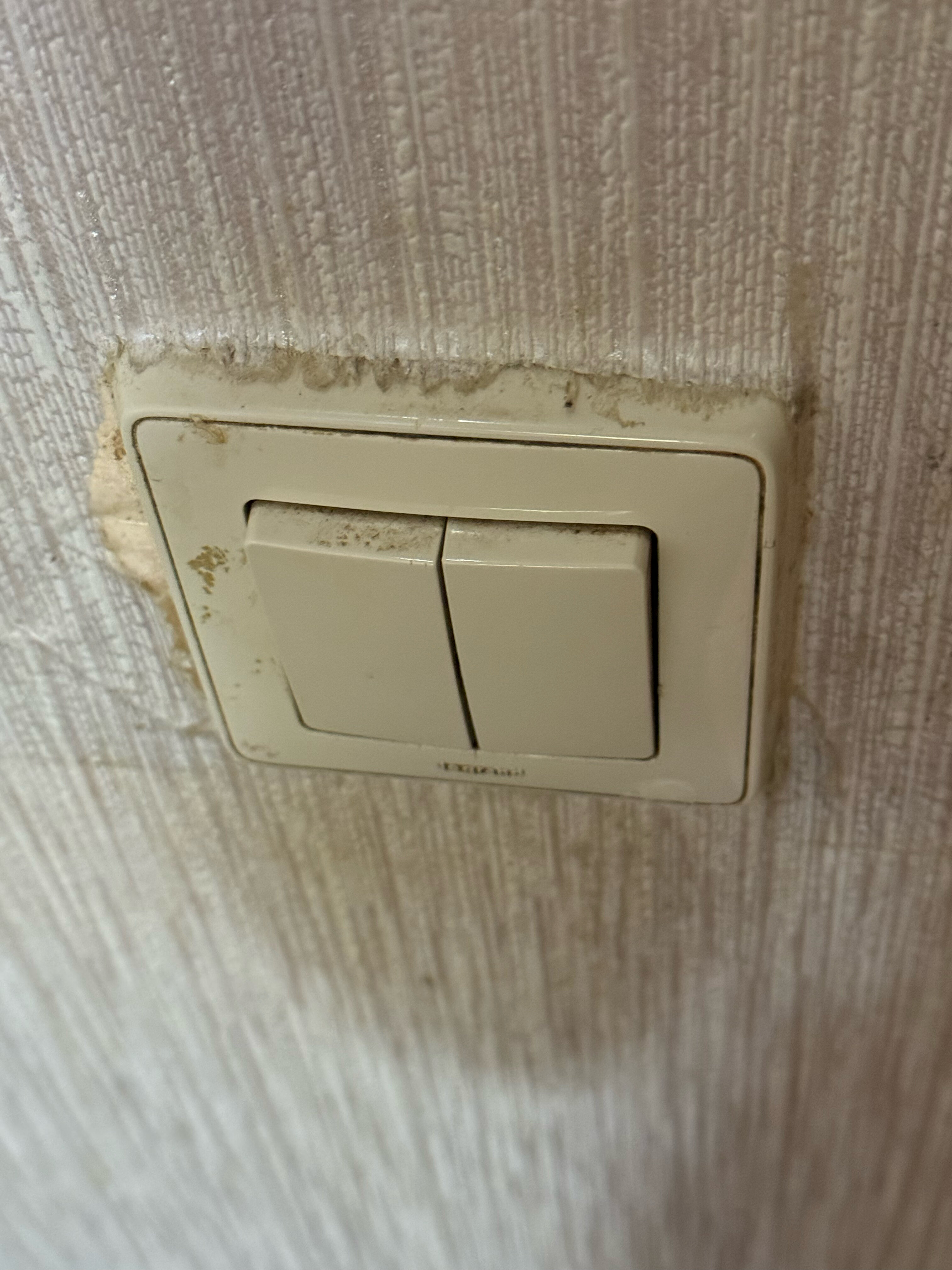 Фото Моцарт ин