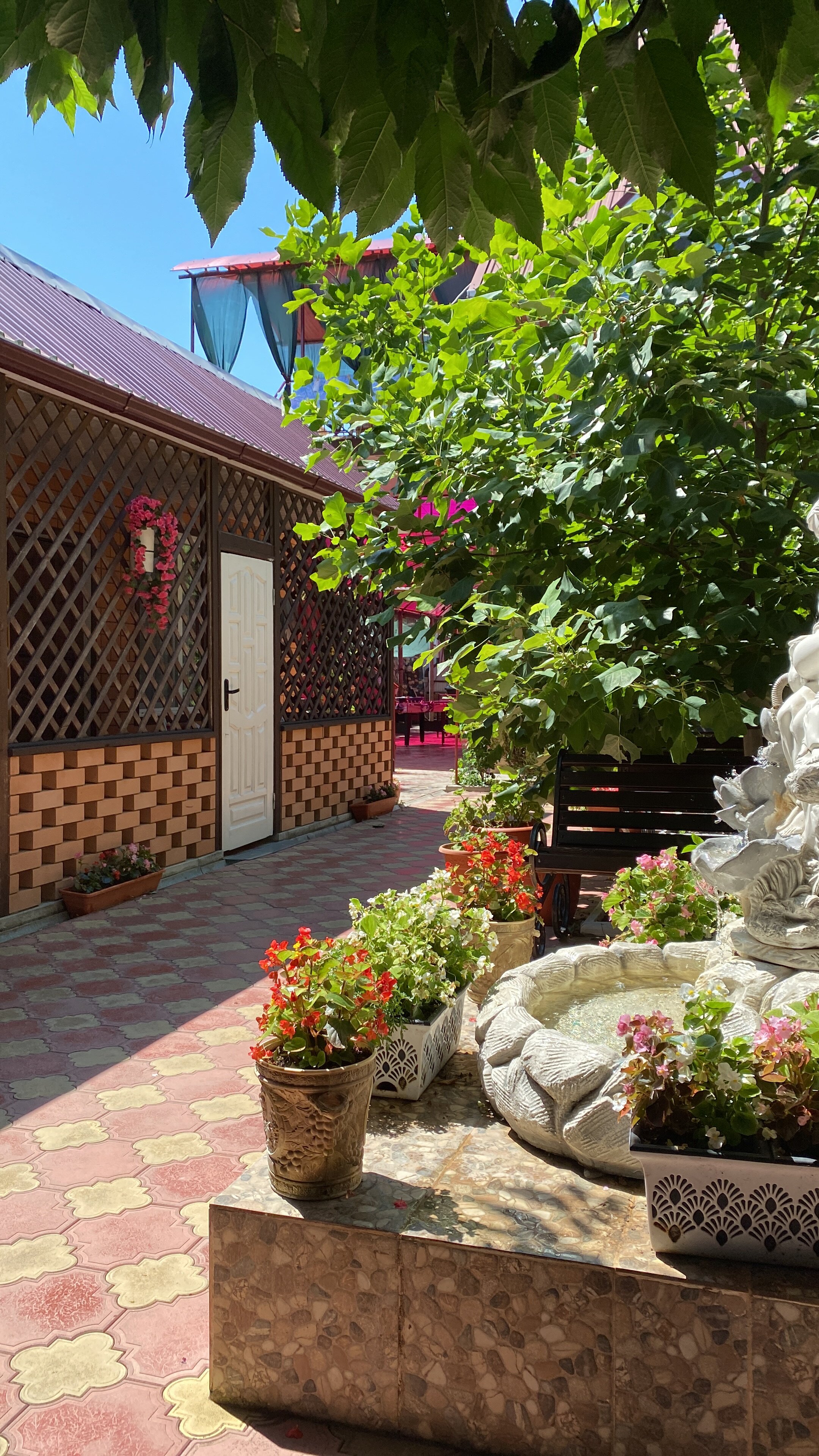 Фото Золотые Пески