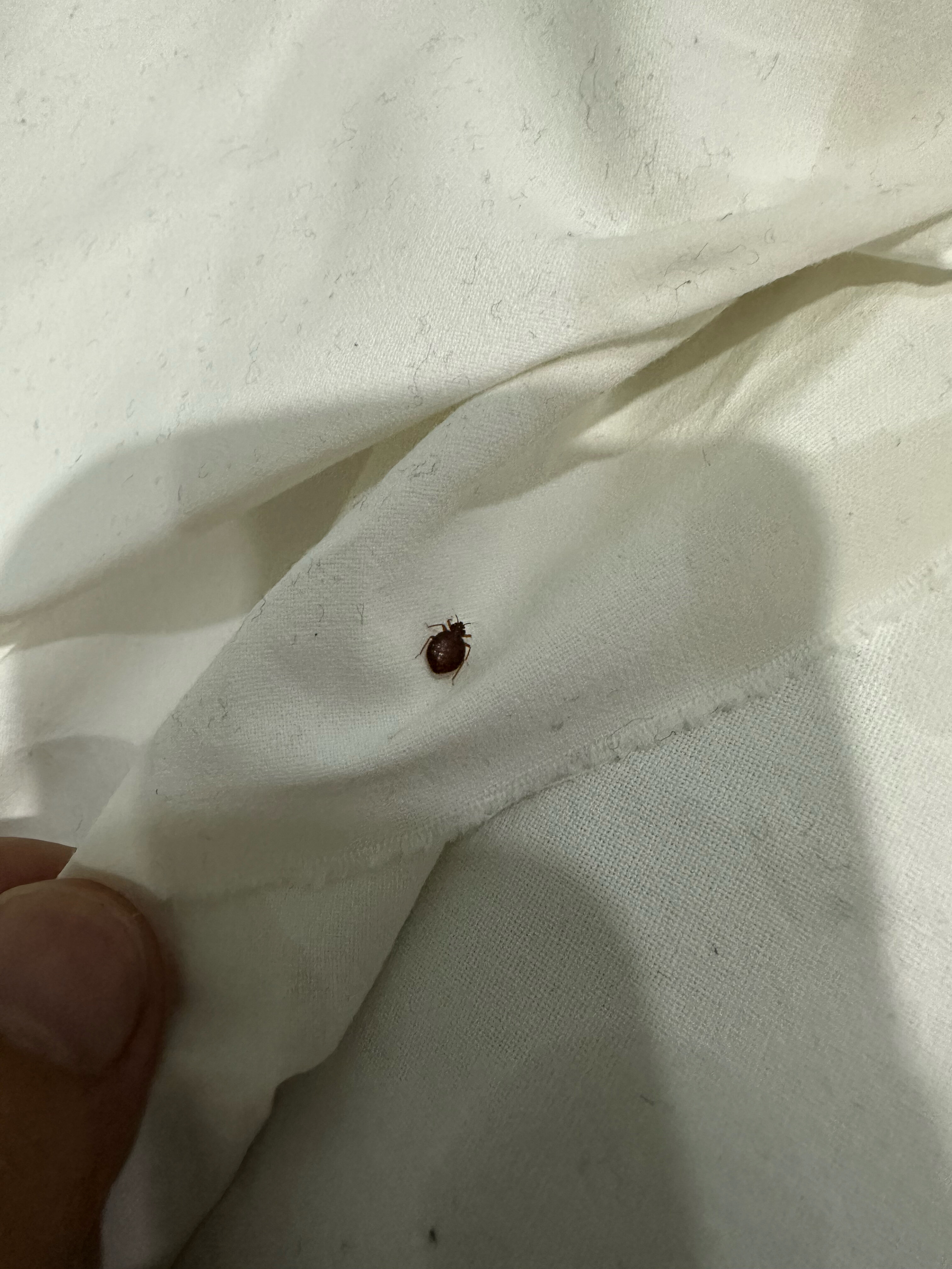 Фото Istanbul Gold Hotel