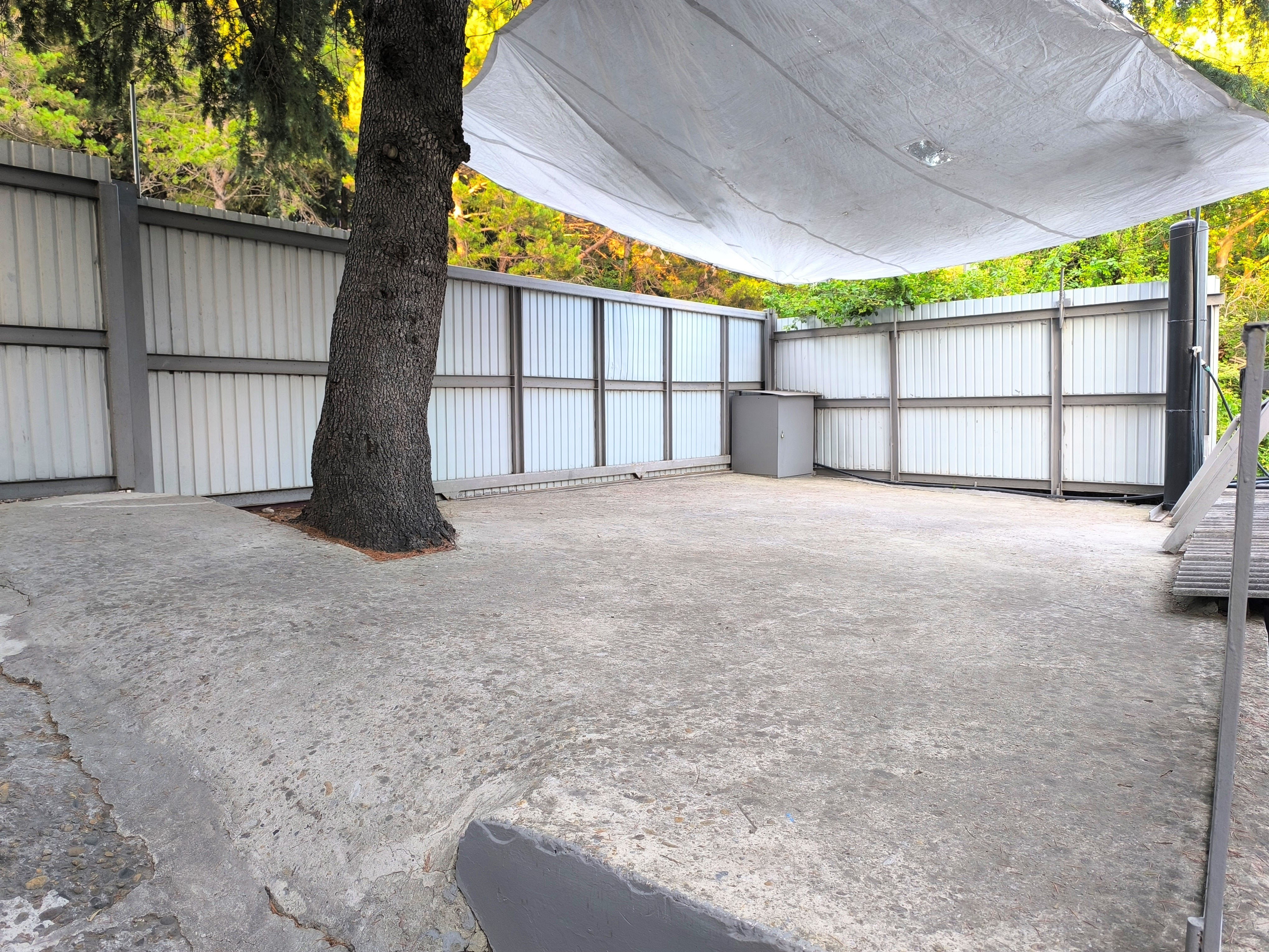 Фото У Кедра