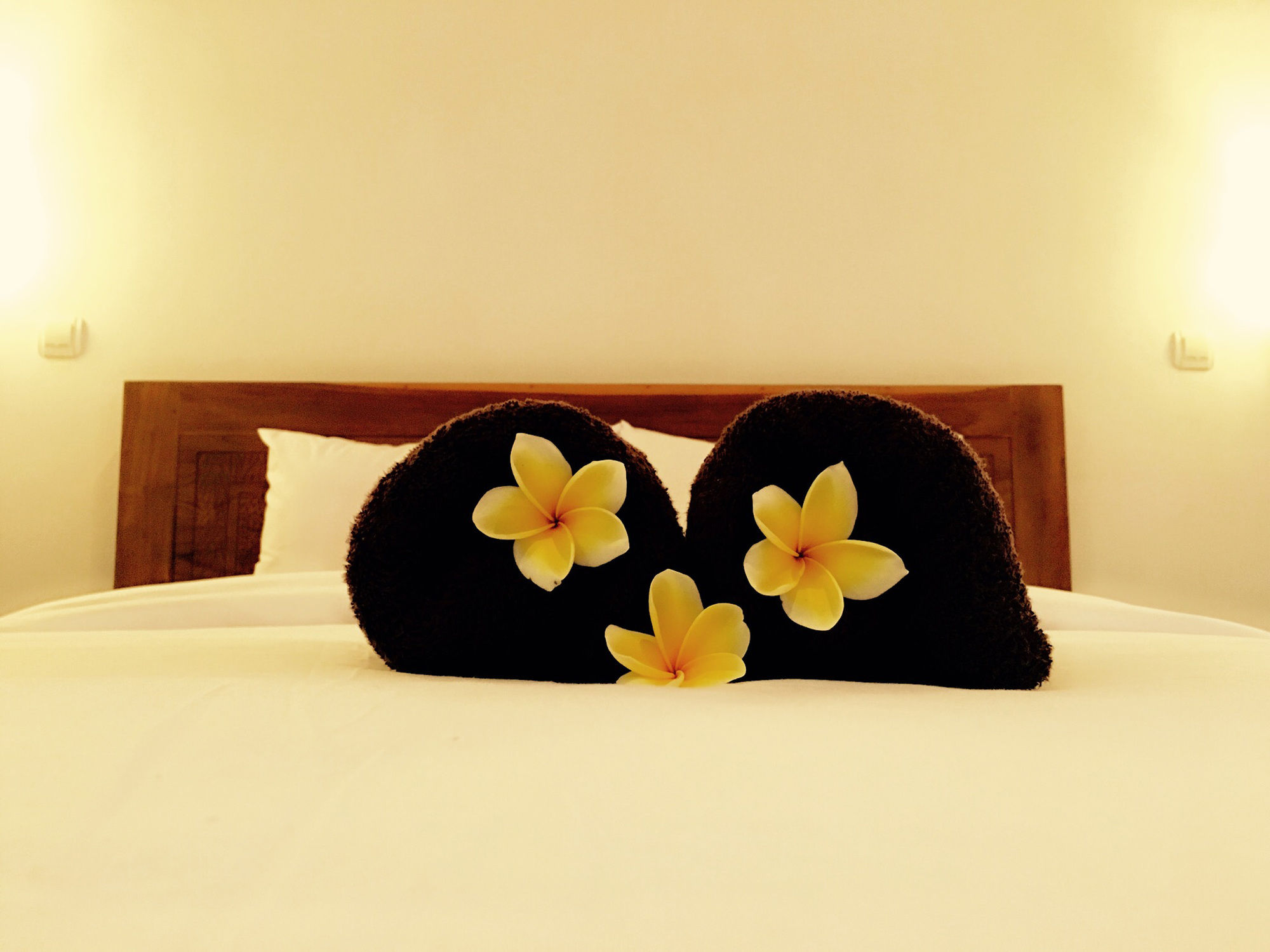 Фото Hotel Gianyar