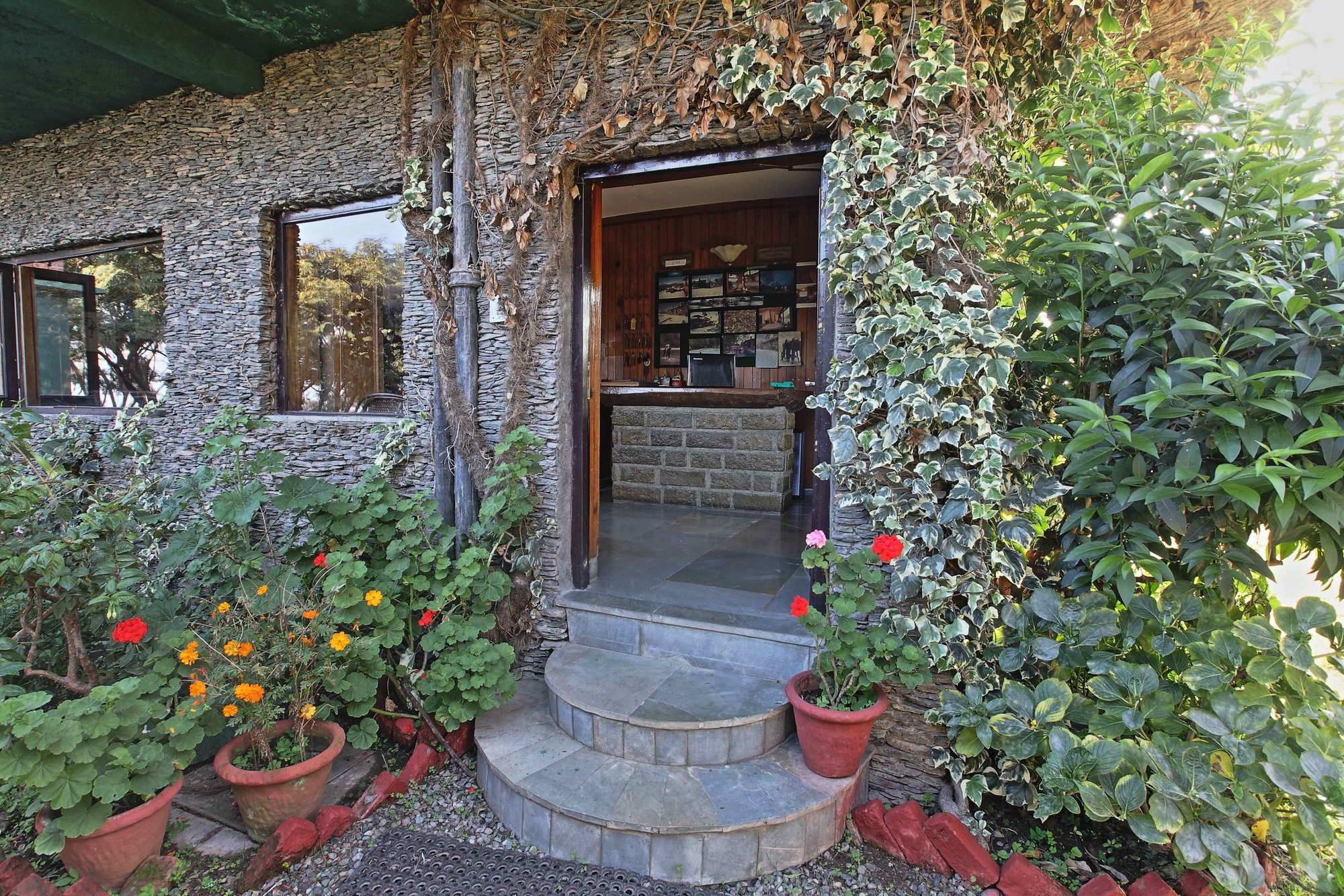 Фото Cedar Lodge by Aahma