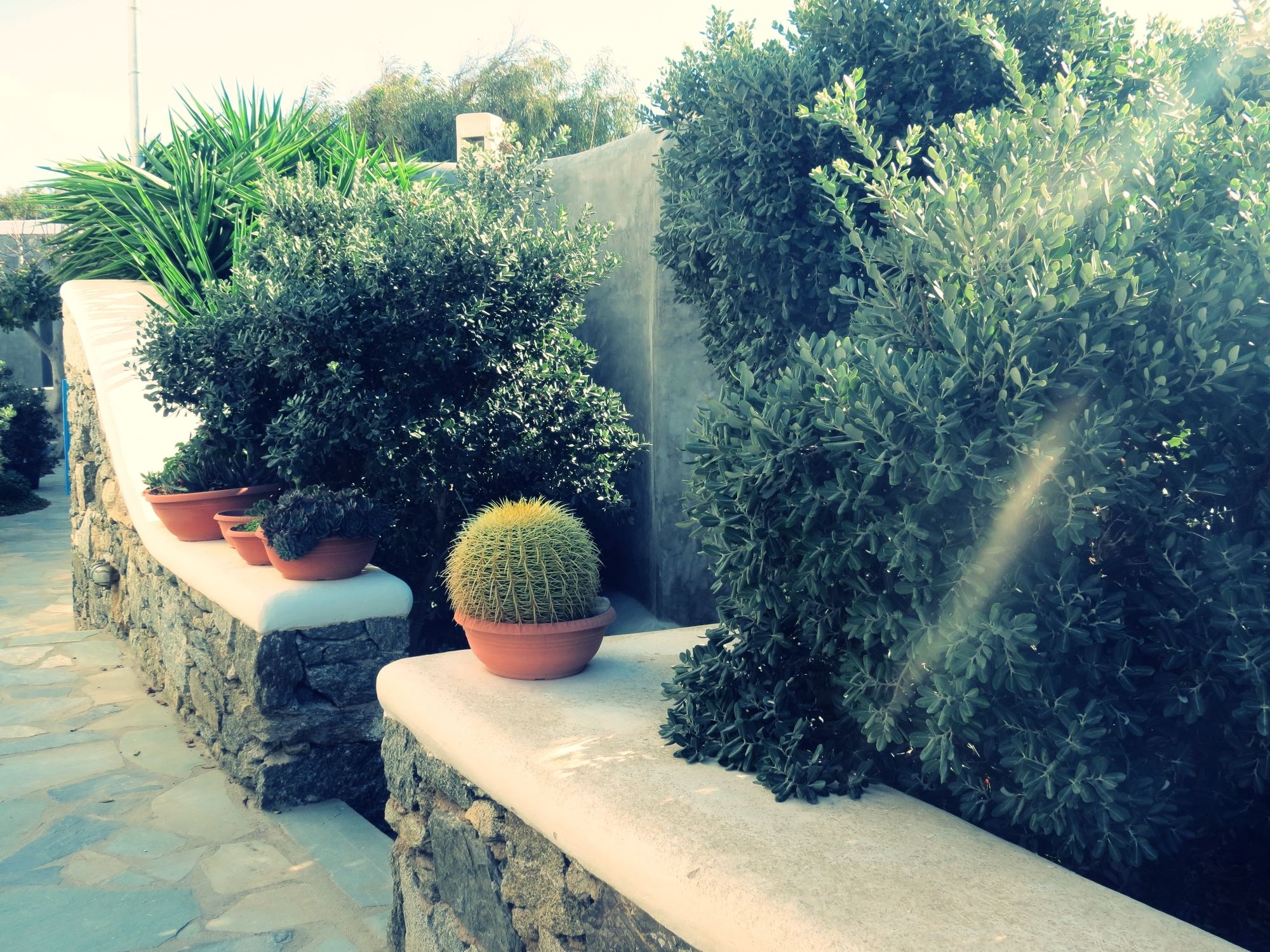 Фото Aletro Cottage Houses