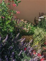 Фото Sunset Motel