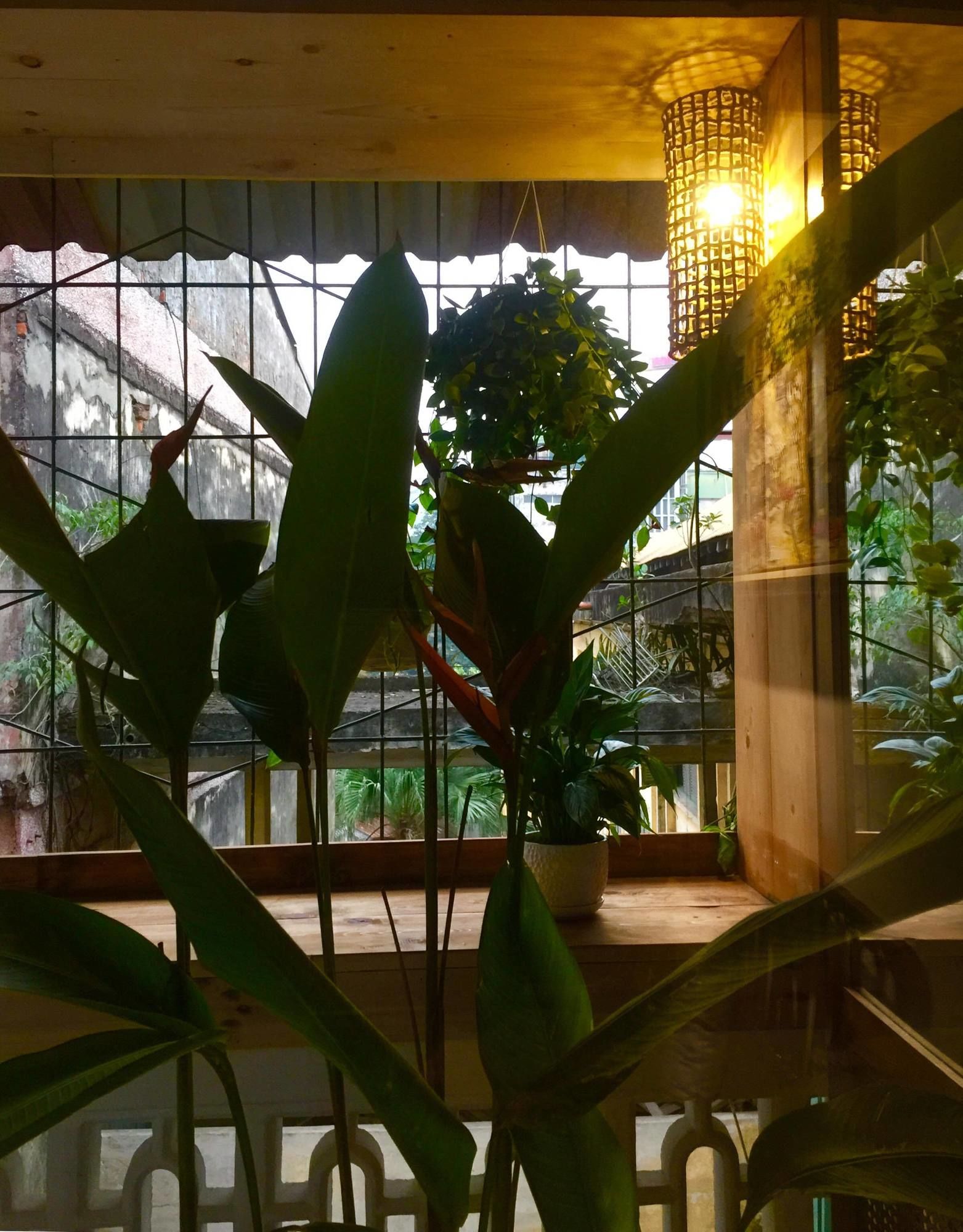 Фото A Green Home