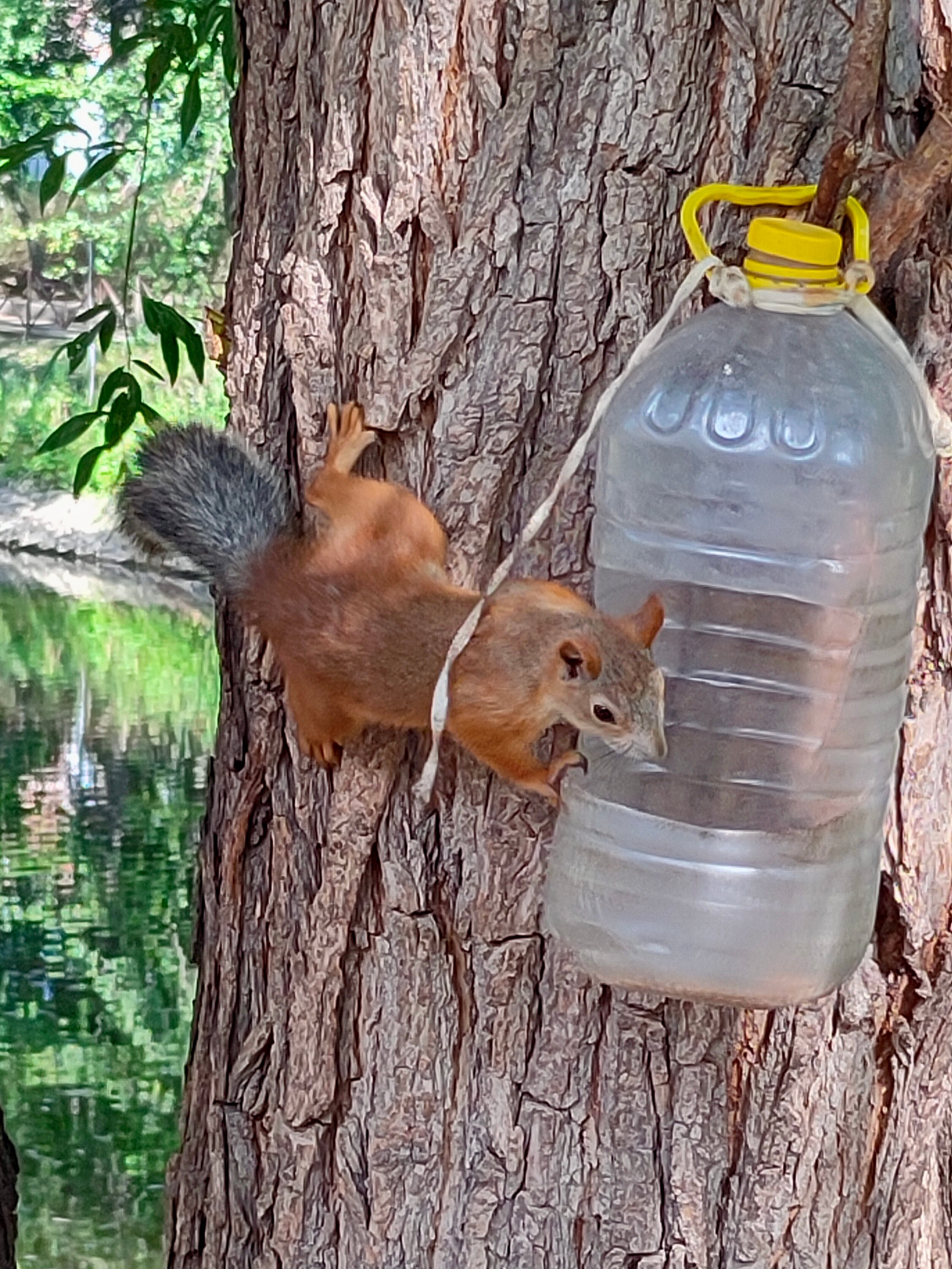 Фото Фрунзенец