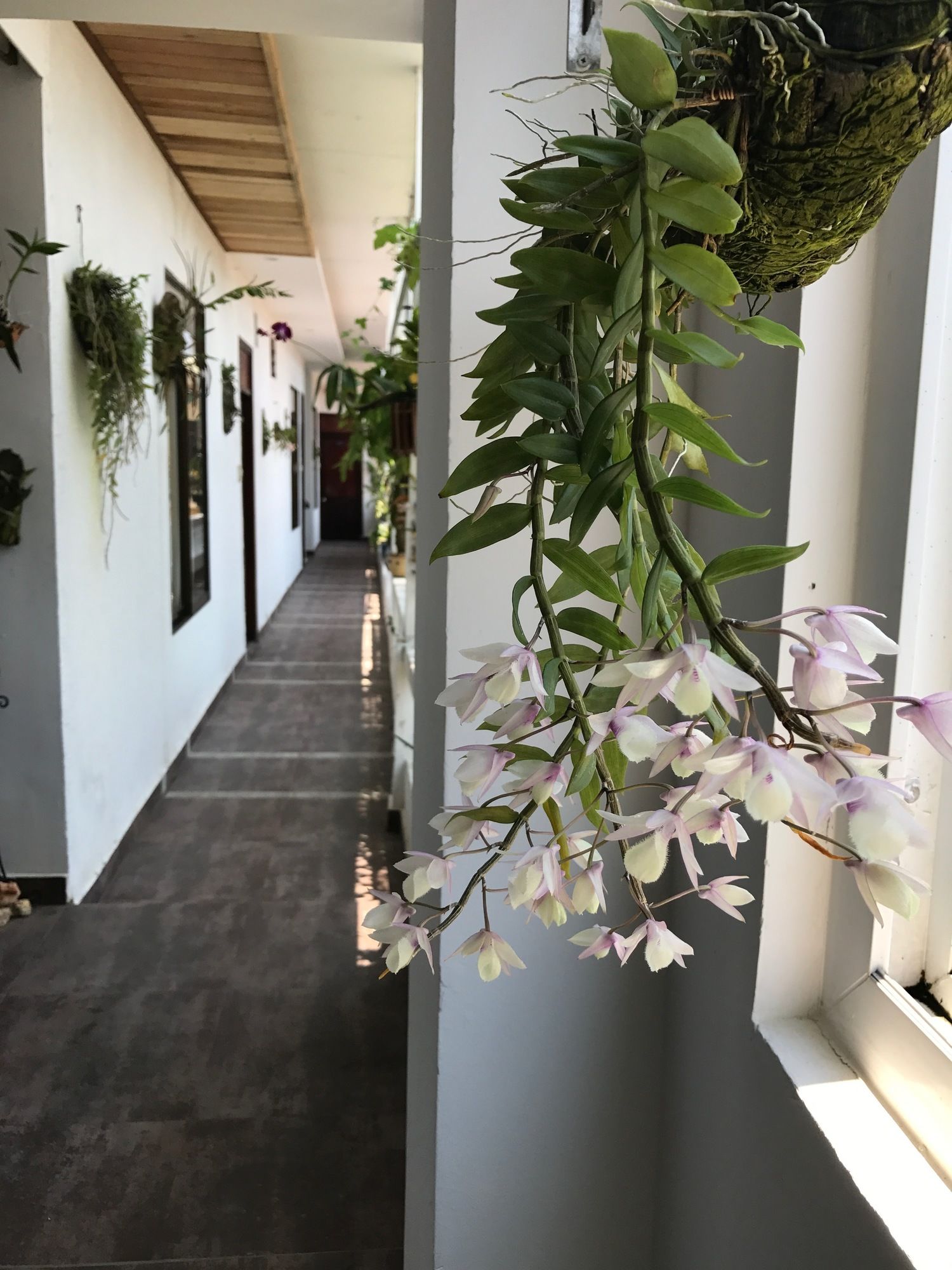 Фото Sunny B Hotel