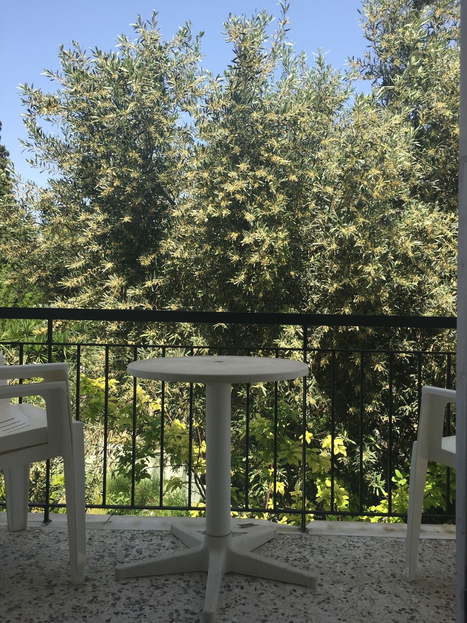 Фото Ulrika Hotel