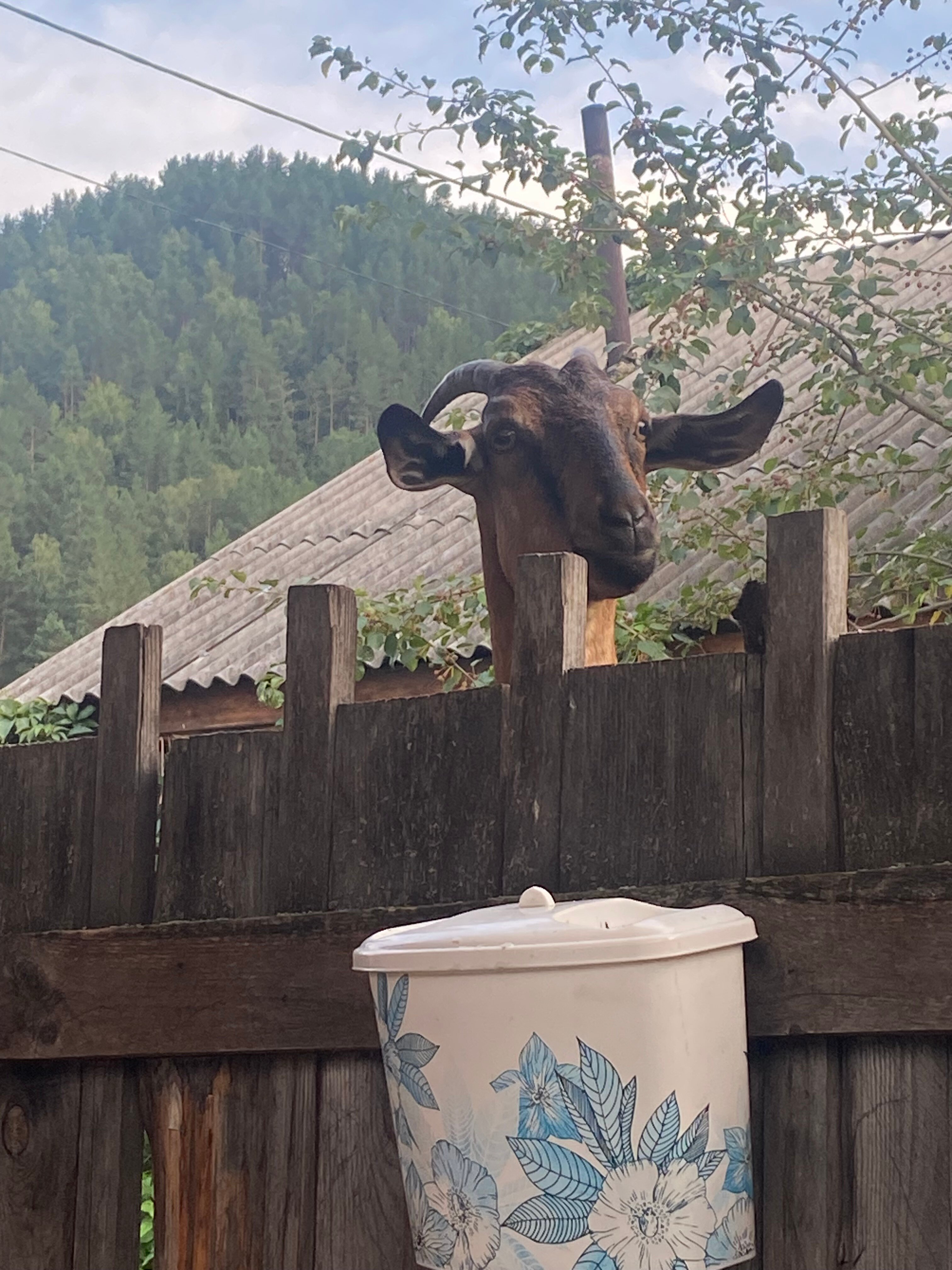 Фото Дыхание гор