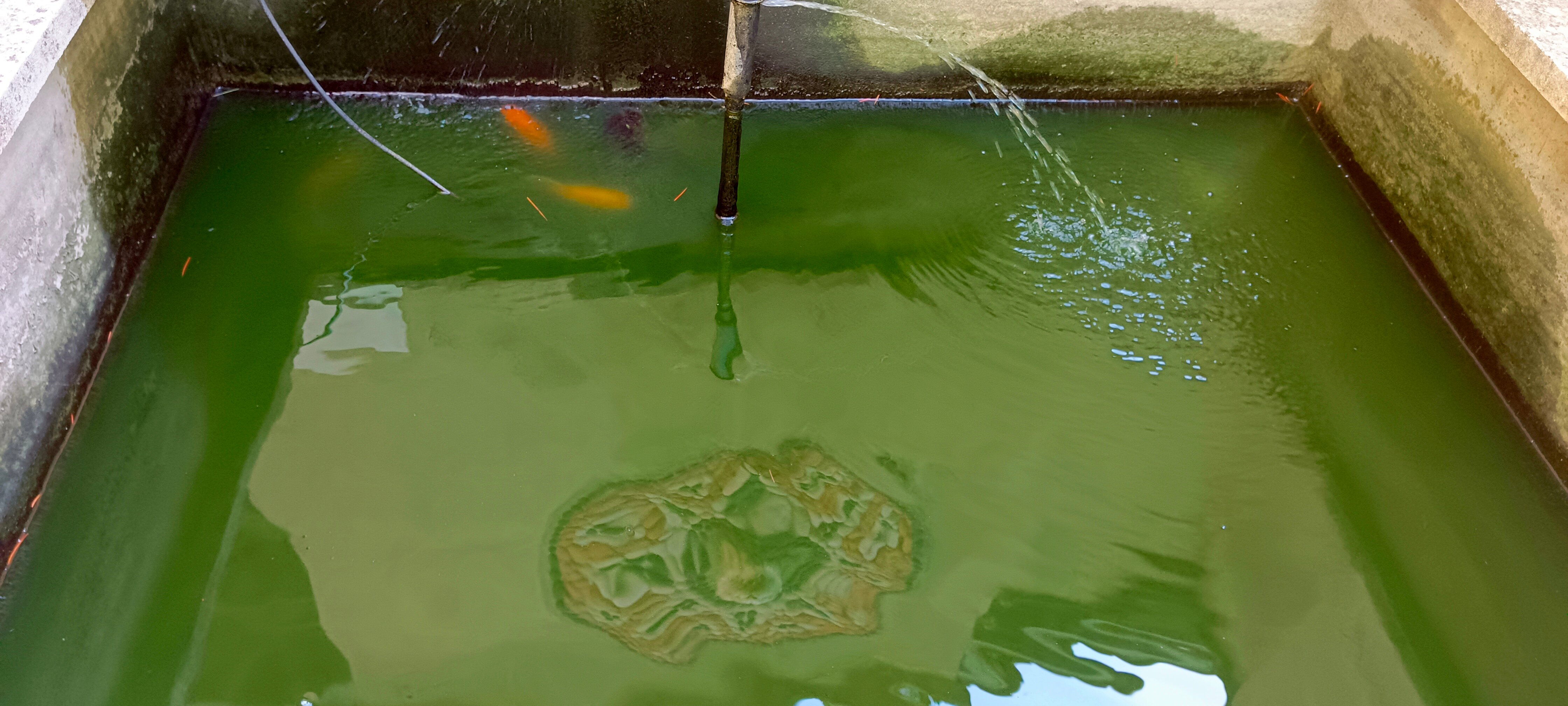 Фото Дом архитекторов